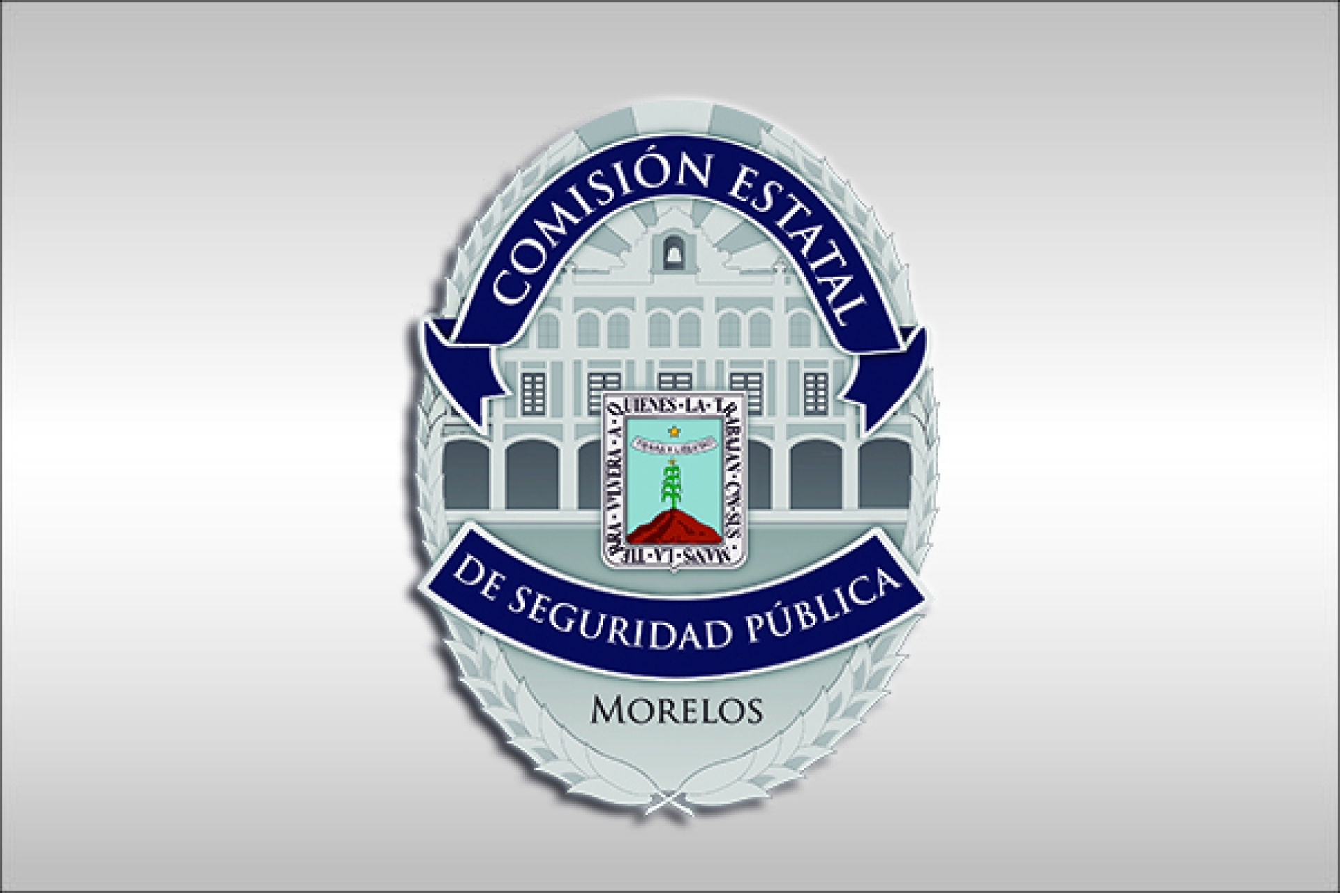 Inicia CES 16 procesos administrativos a empresas de seguridad privada