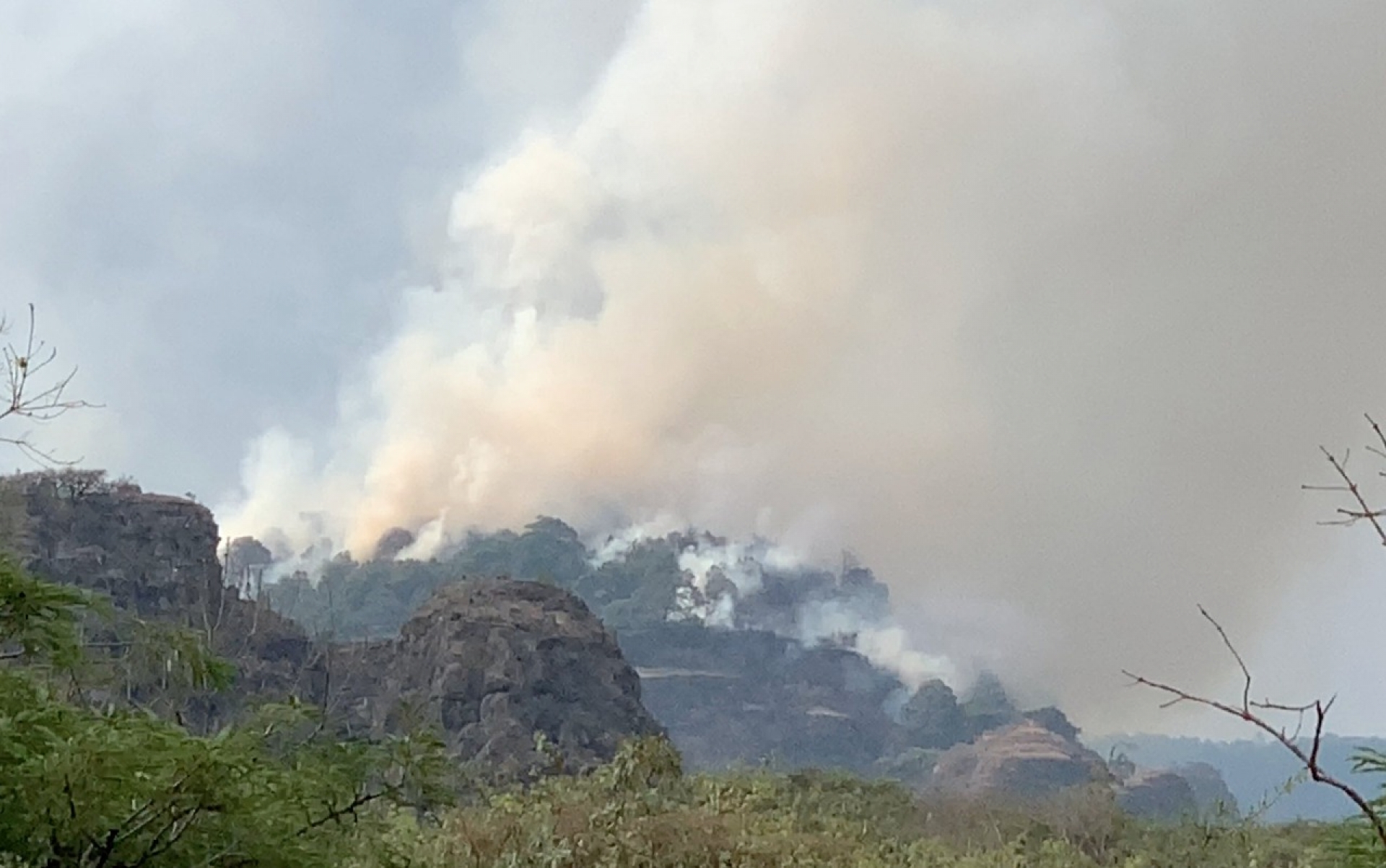 Combaten incendio forestal en el paraje Oztopulco, en Santo Domingo Ocotitlán