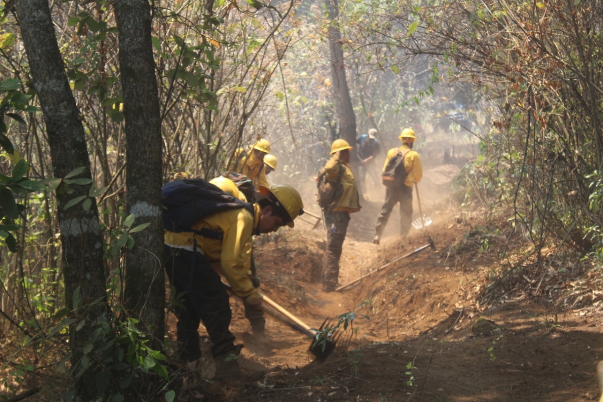 Brigadistas atienden incendio forestal en paraje 'Quinta piedra' en Tepoztlán