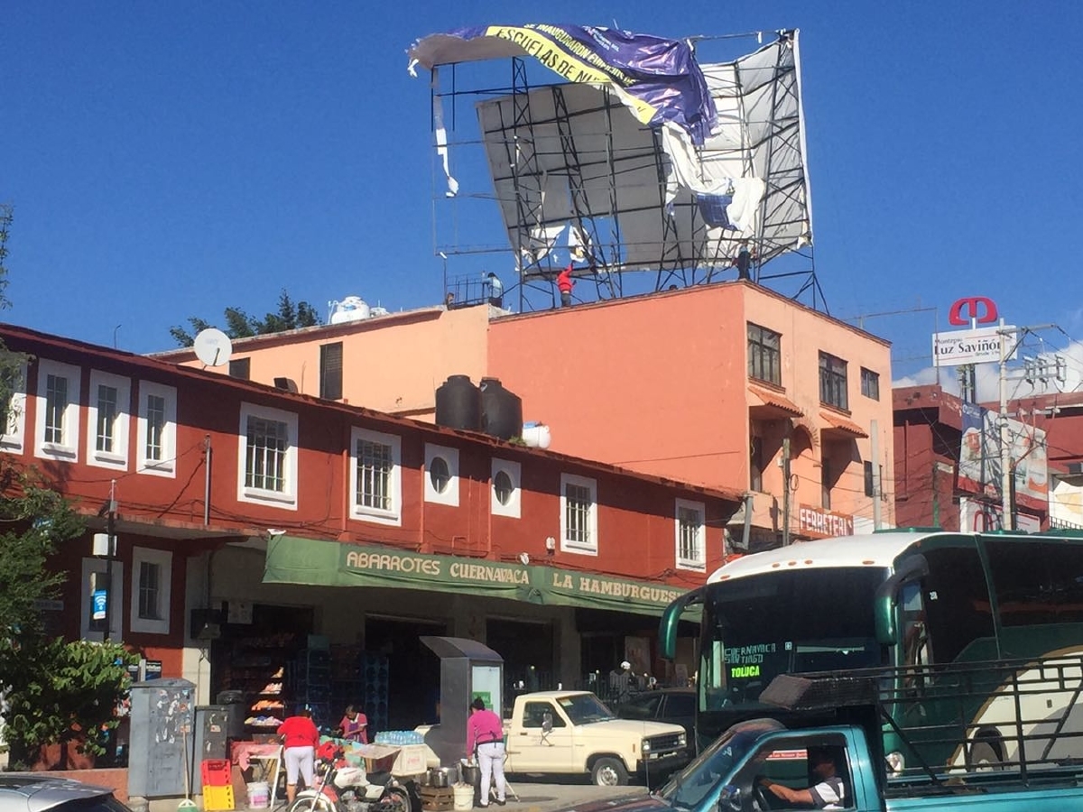 Rachas de viento de las últimas horas ocasionaron caída de árboles y espectaculares