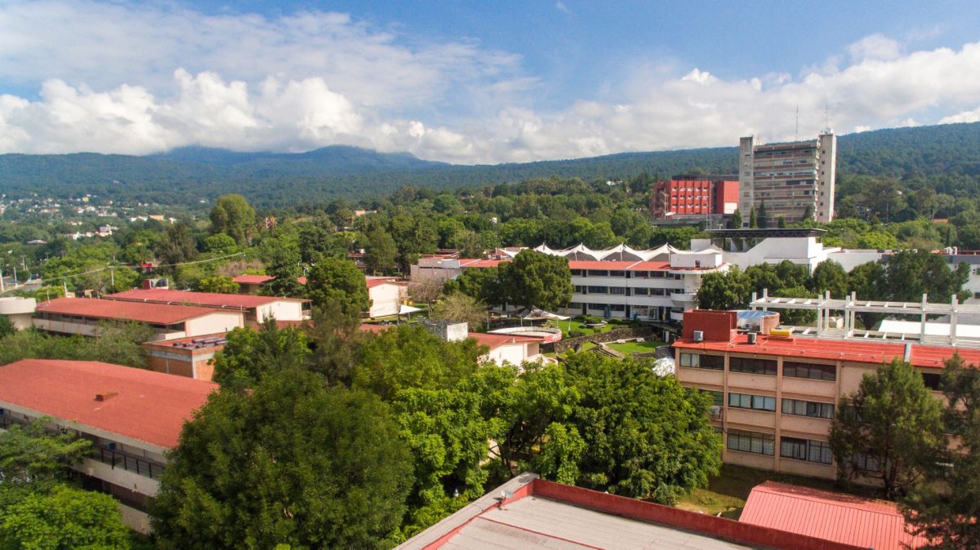 Malestar de biotecnólogos por cambios en el Conacyt