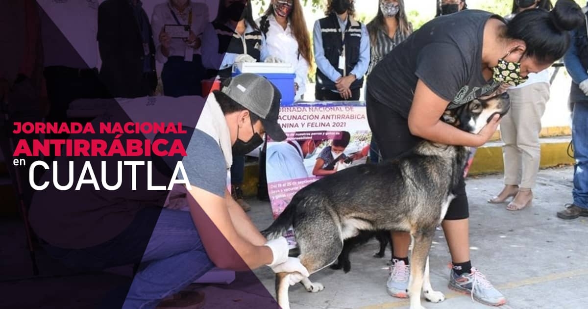 En marcha, la Jornada Nacional de Vacunación Antirrábica en Cuautla