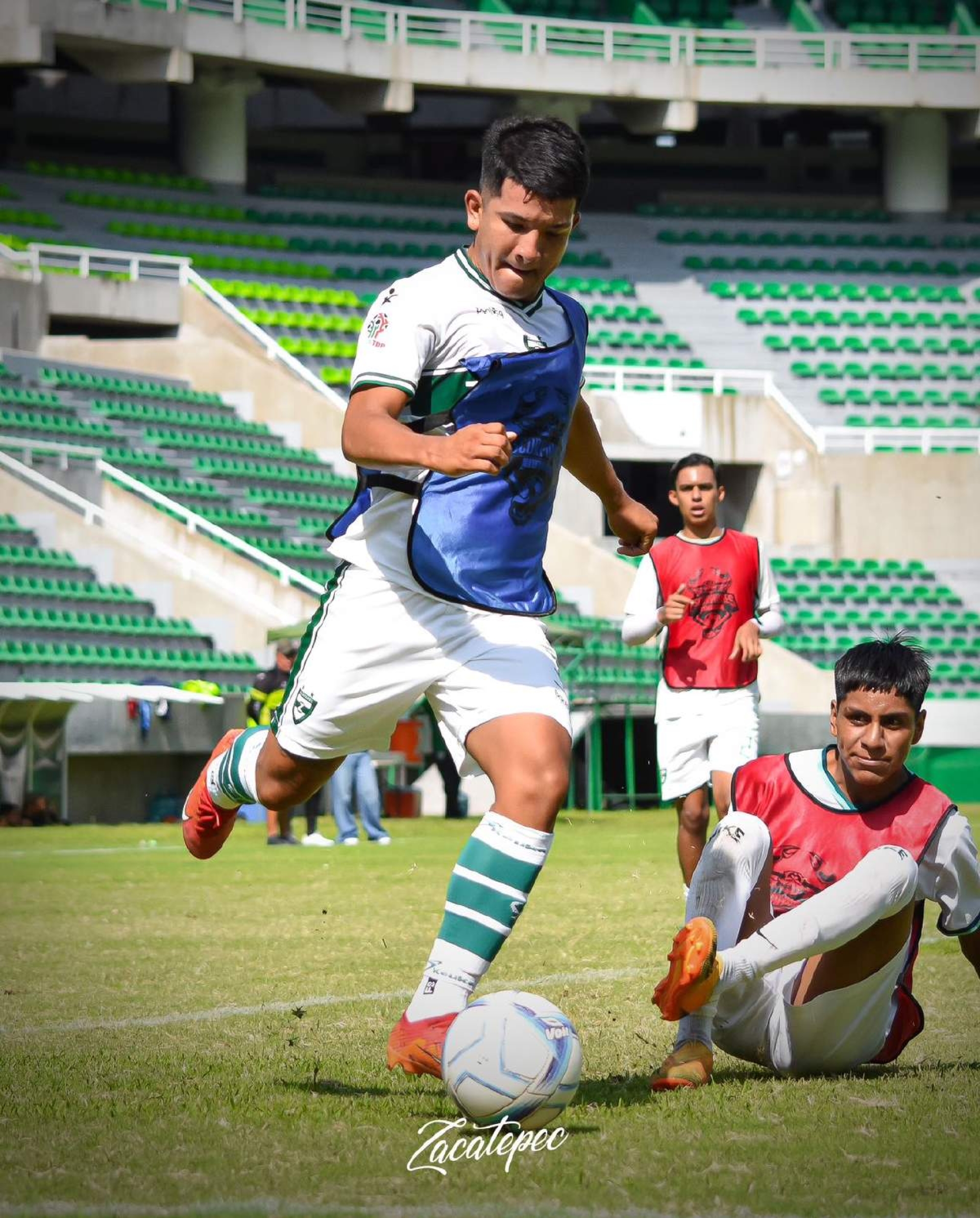El 8 de julio arranca pretemporada Escorpiones Zacatepec