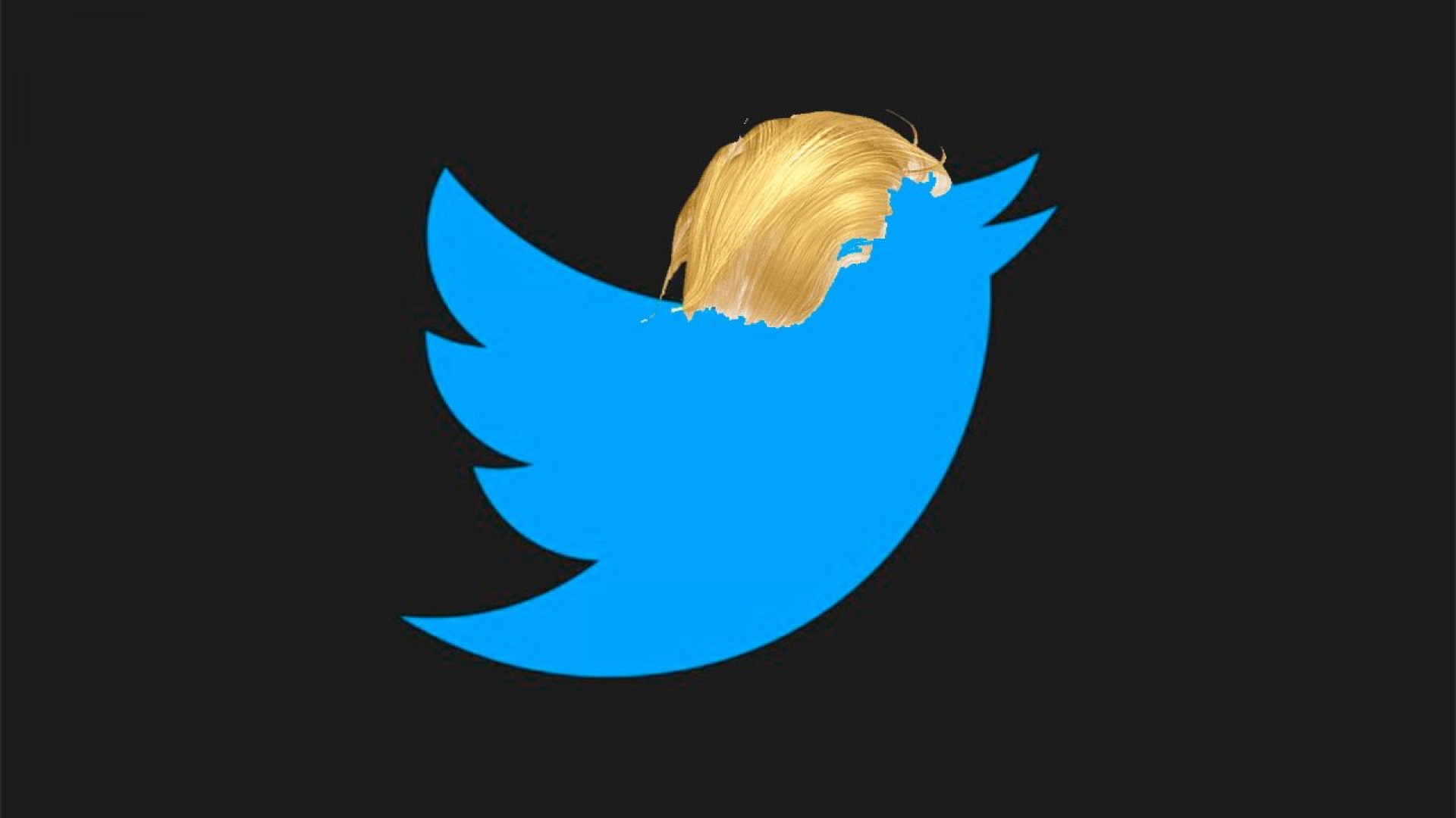 Así revelaron el password de la cuenta de Twitter de Donald Trump