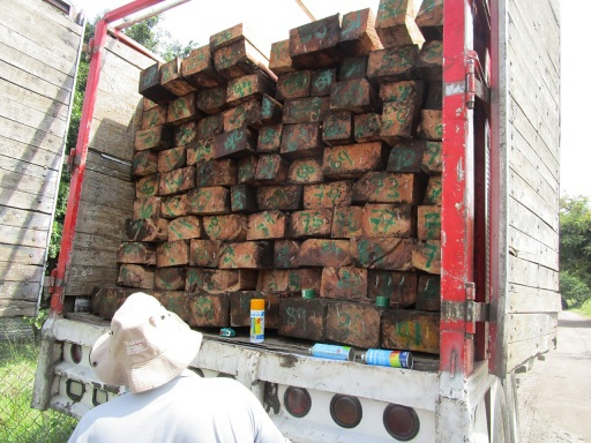 Asegura Profepa 199 piezas de madera