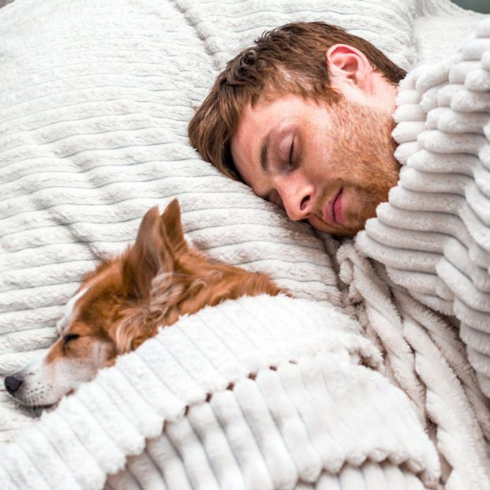 ¿Es bueno dormir con tu mascota?