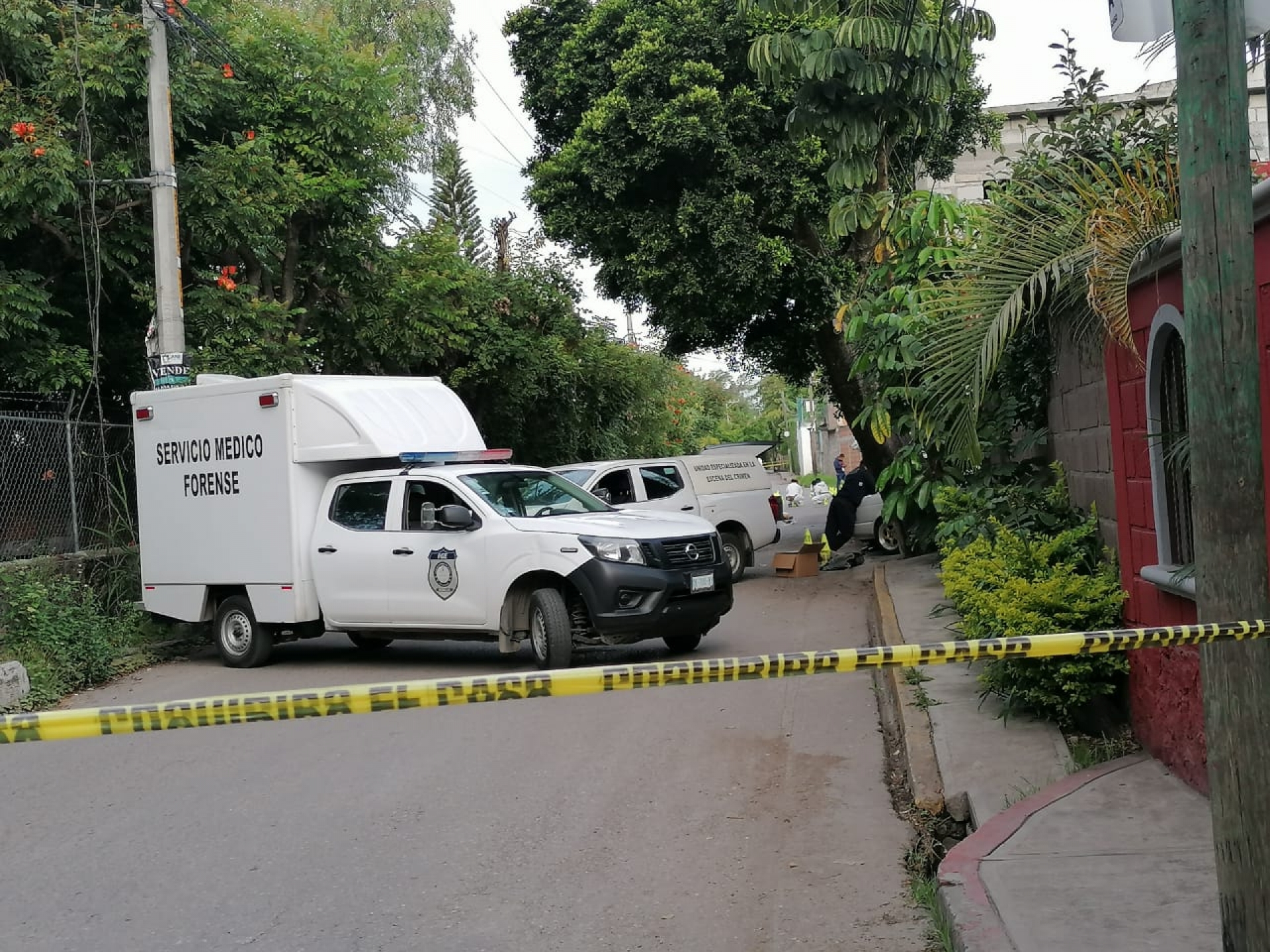Dejaron un cadáver desmembrado en la colonia Las Granjas