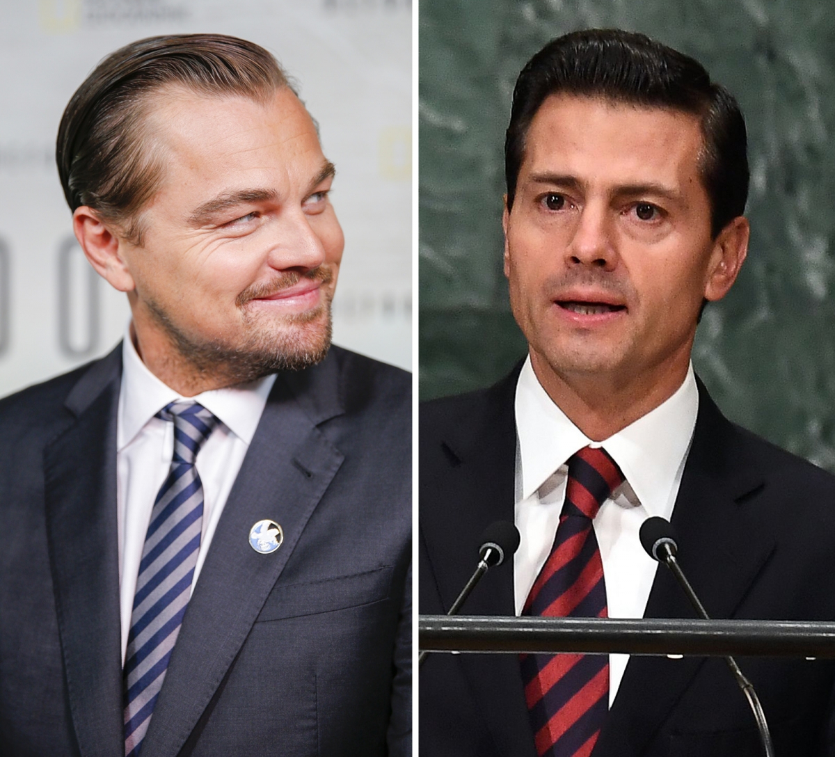 DiCaprio pide a EPN acción para proteger a vaquita marina