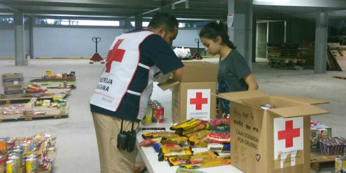 Viajarán especialistas en asistencia humanitaria de la Cruz Roja a Oaxaca