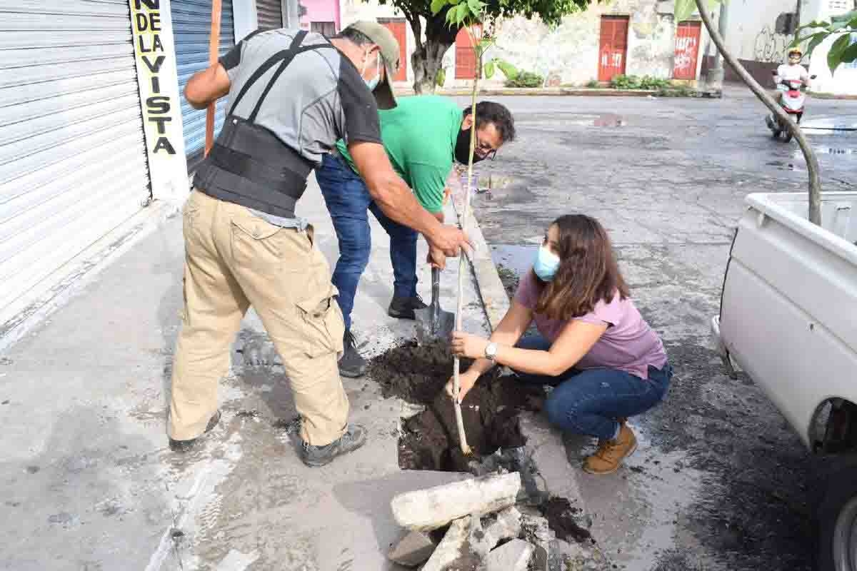 Cumplen ordenamiento ambiental de la SCJN en Cuautla
