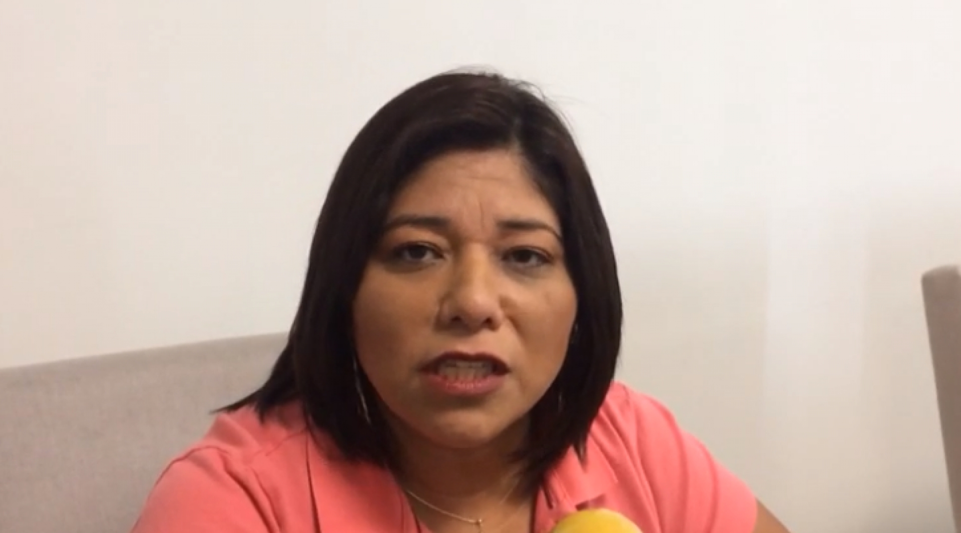 Iniciará análisis del paquete económico 2021 con Hacienda: Ariadna Barrera
