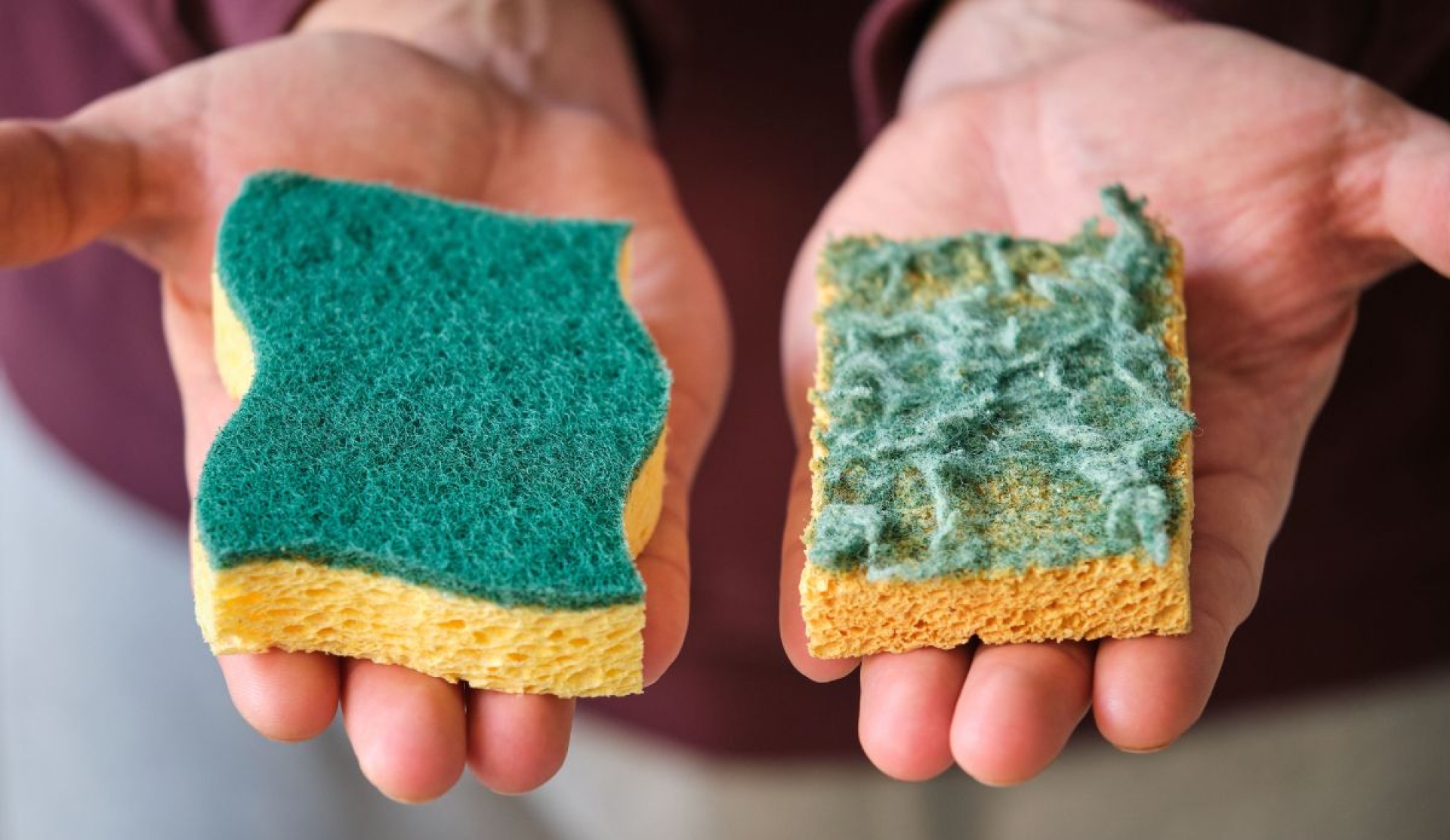 Cada cuánto cambiar la esponja de cocina y cómo mantenerla libre de bacterias