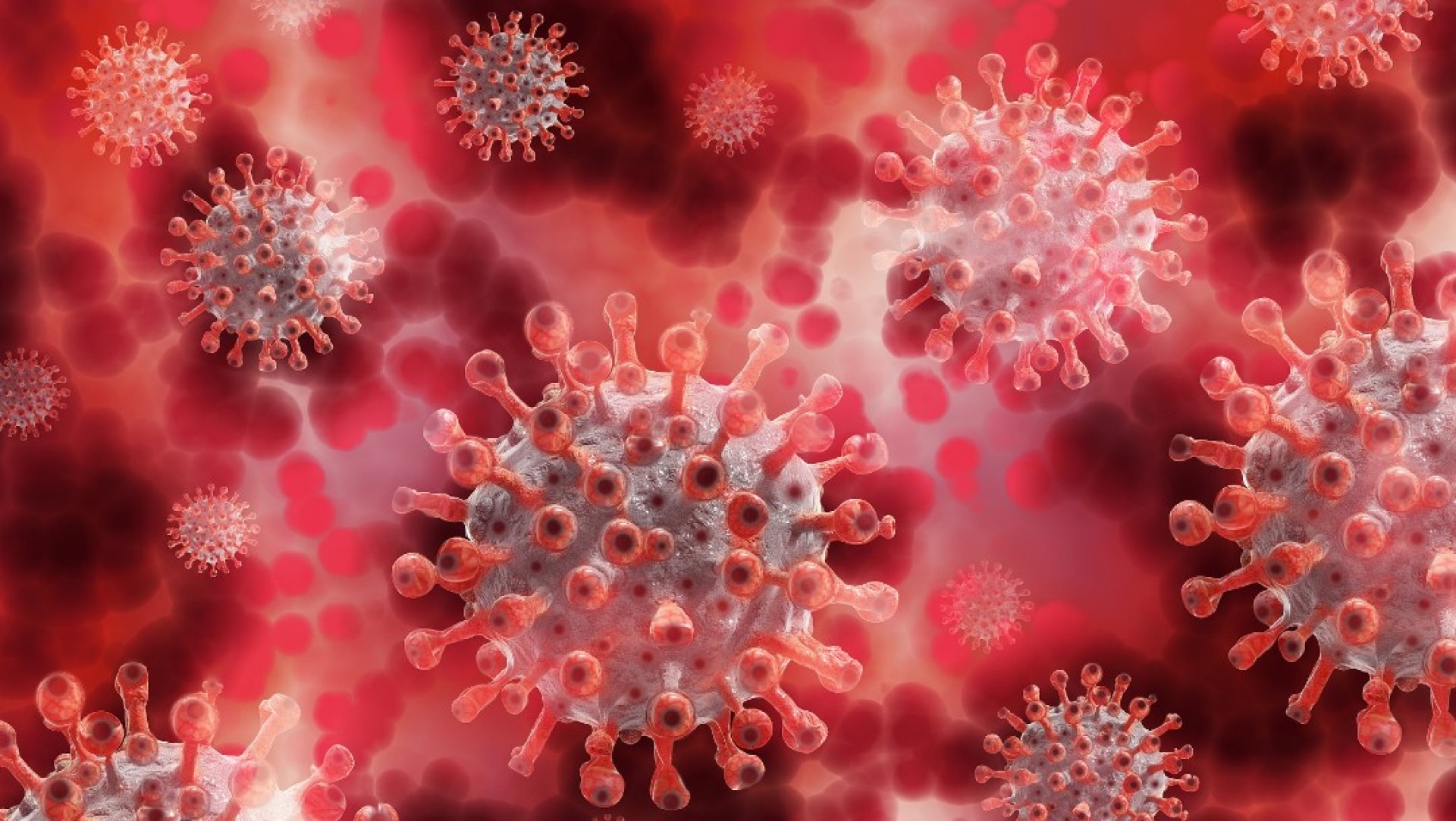 OMS estudia cambios del coronavirus tras nueva mutación D614G