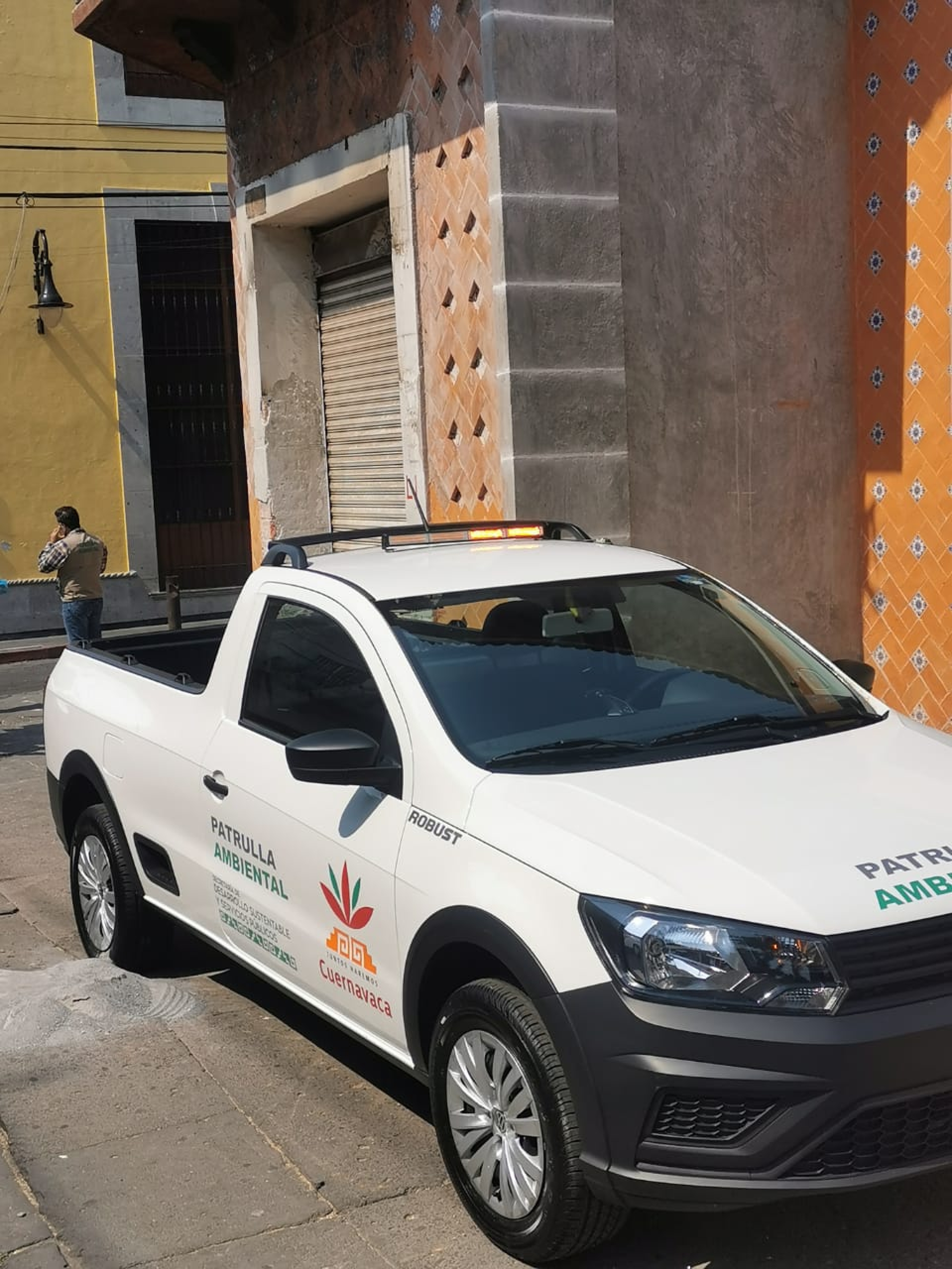 Atiende ayuntamiento capitalino denuncia ciudadana por poda ilegal en avenida Morelos