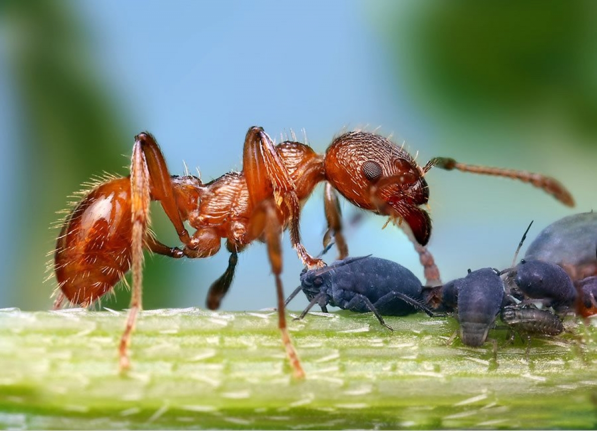 Aprendizajes viajeros y biodiversidad