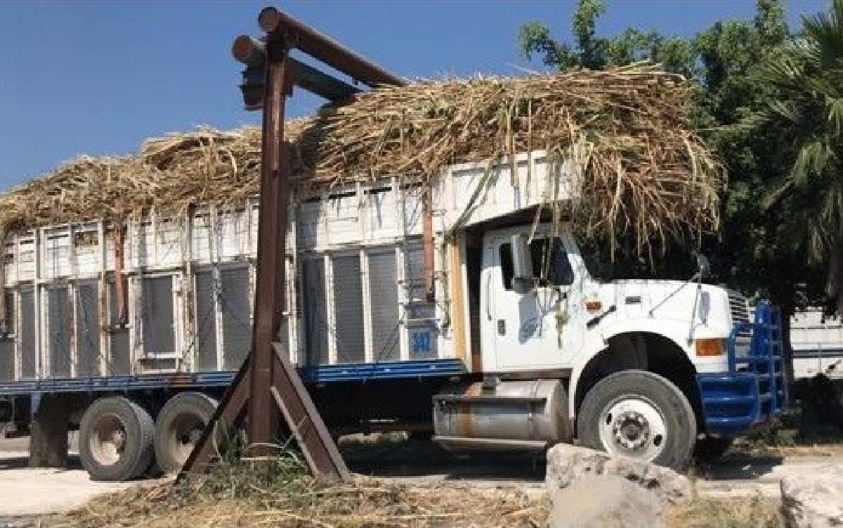 Fijan nuevo precio de la tonelada de azúcar para la presente zafra