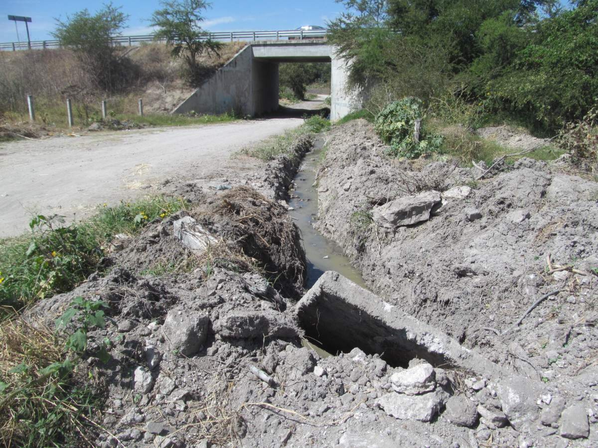 Fuga de aguas negras afecta a la población y los cultivos