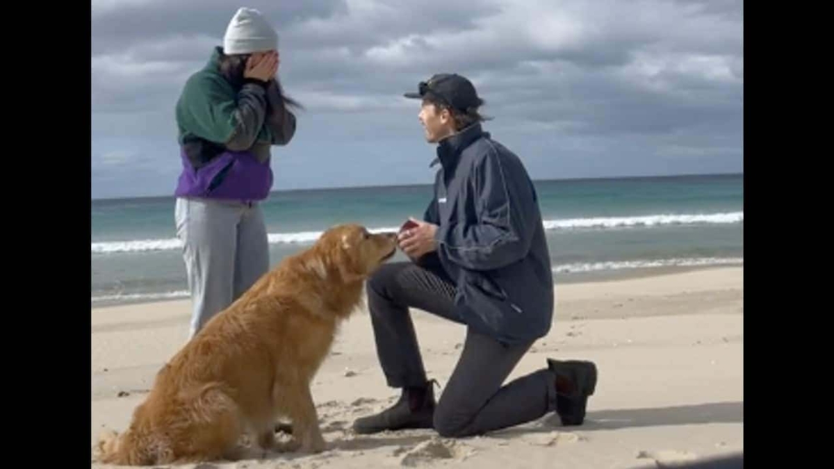 Reacción de un perrito al ver que sus dueños se comprometen se vuelve viral