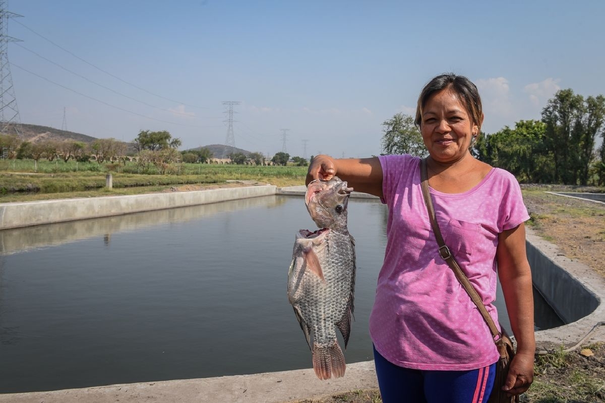En Semana Santa le va bien a productores de pez para consumo