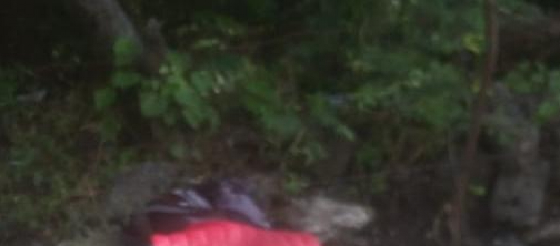 Asesinan a balazos a un joven en Emiliano Zapata