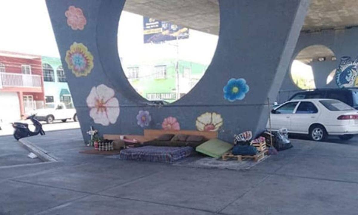 Orden en “su hogar”, así vive un vagabundo debajo de un puente