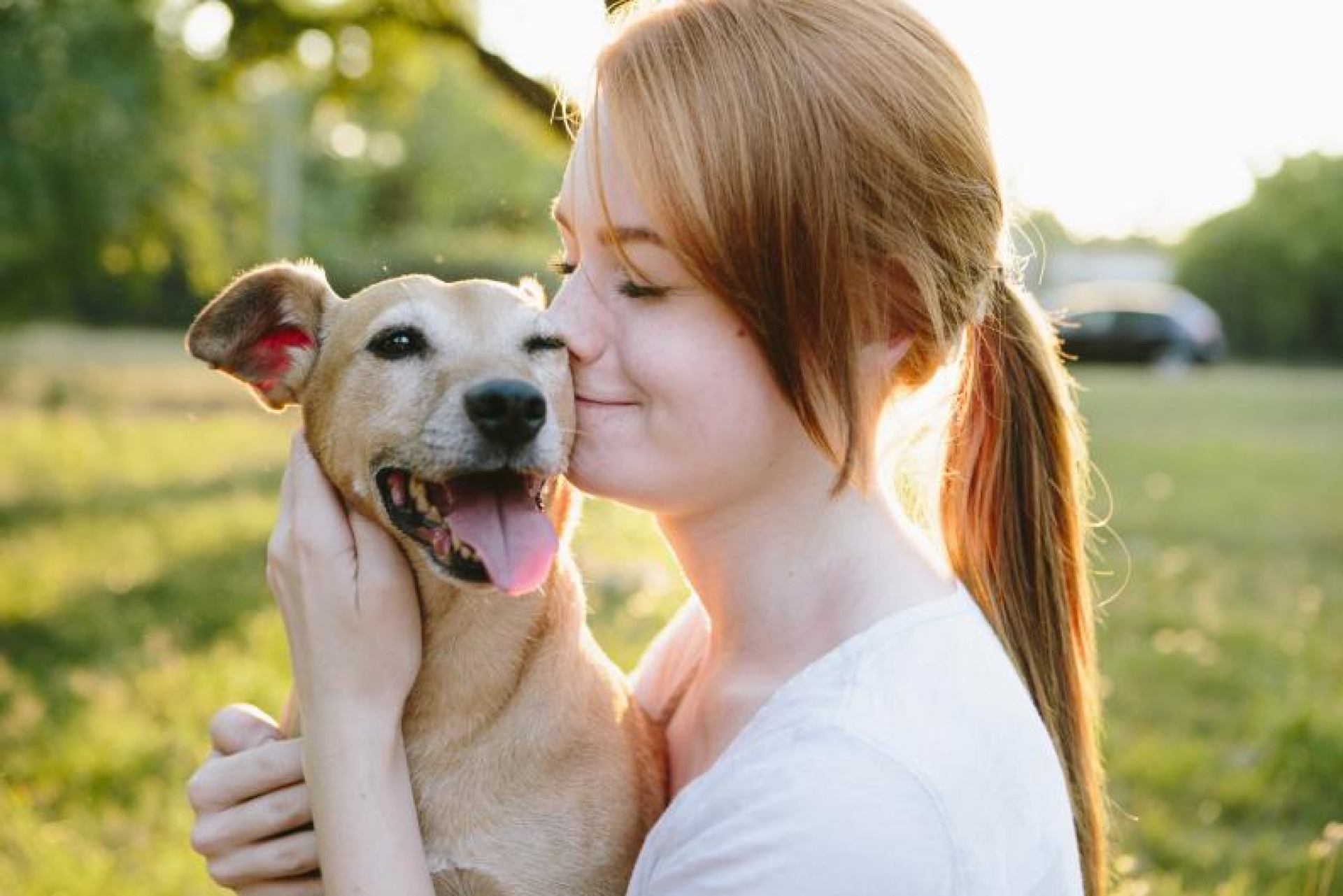Los humanos aman a sus perros más que a otras personas, y tiene una explicación científica