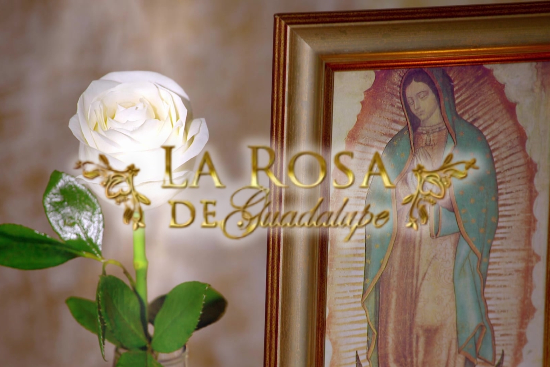 La Rosa de Guadalupe recibe la 'Placa Diamante' de YouTube por superar los 10 millones de suscriptores