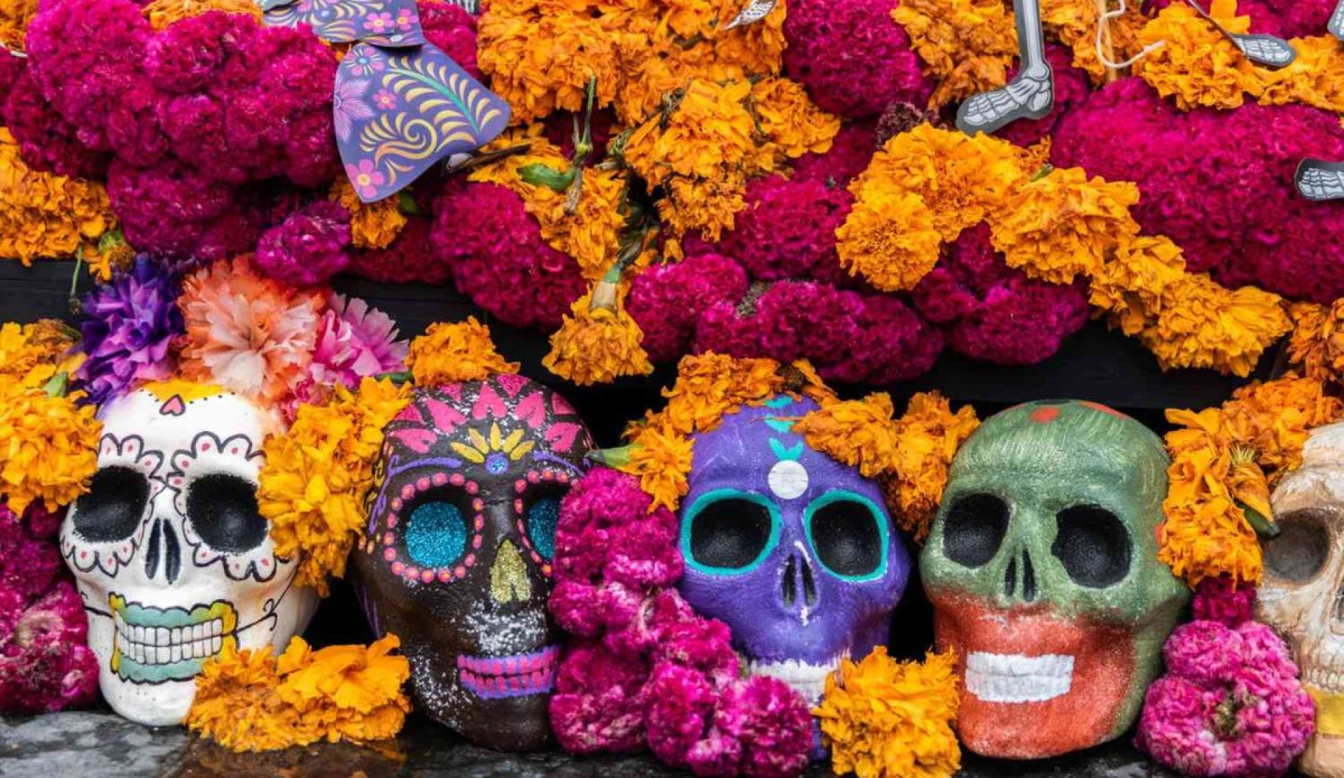 Flores esenciales para tu ofrenda de Día de Muertos y su significado