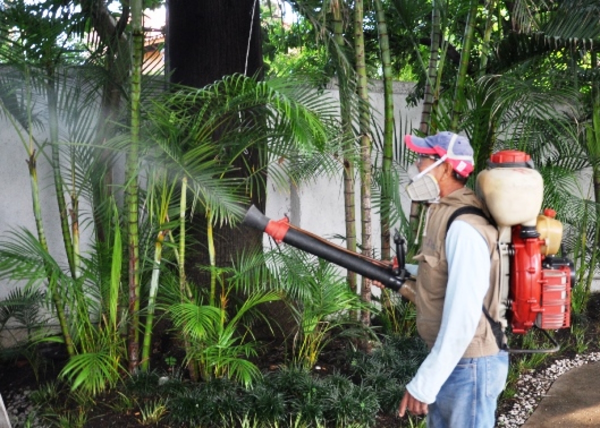 Suben los casos de dengue; llaman a combatir el mosco