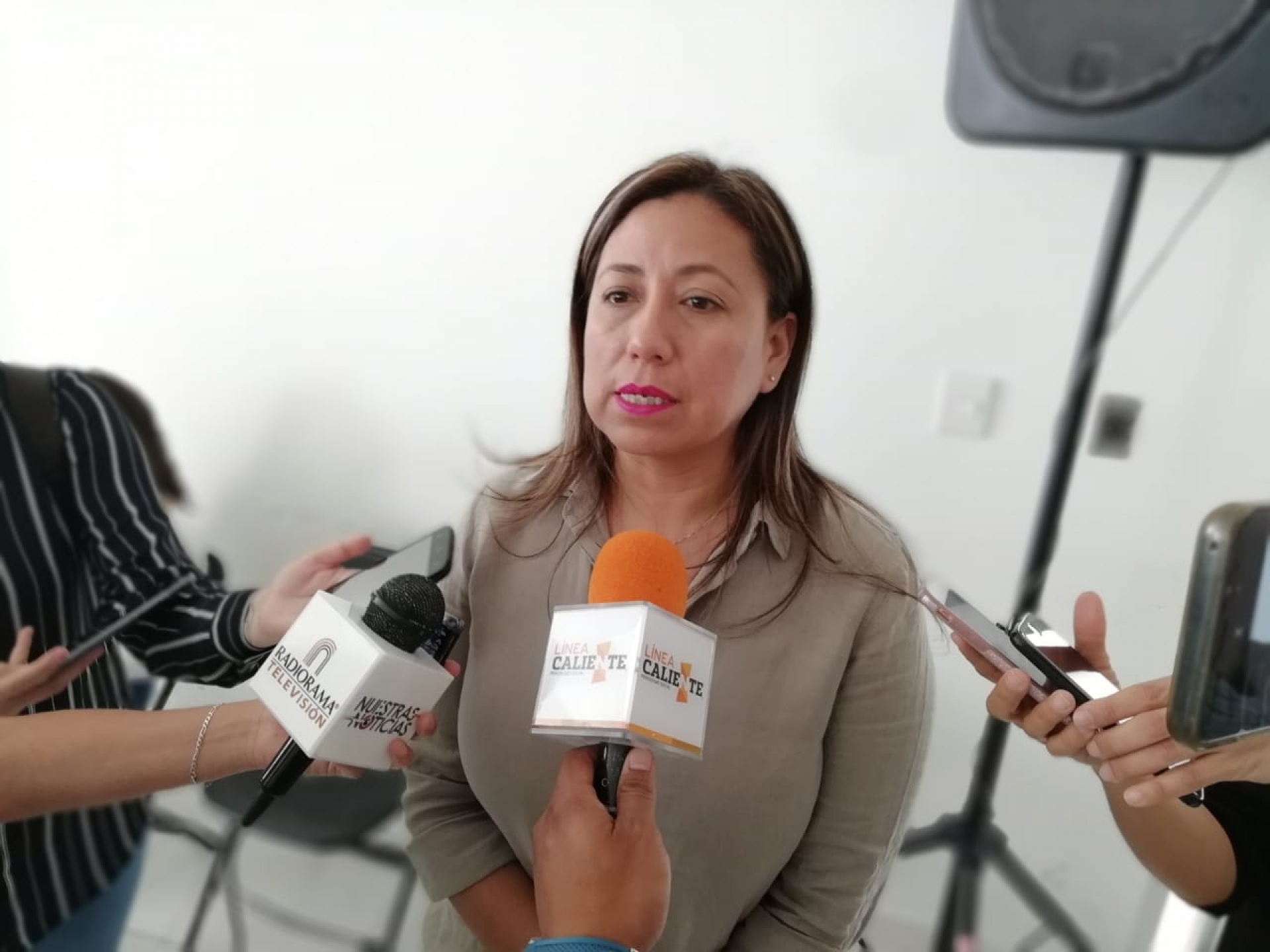 Destaca diputada necesidad de integrar glosa del primer informe