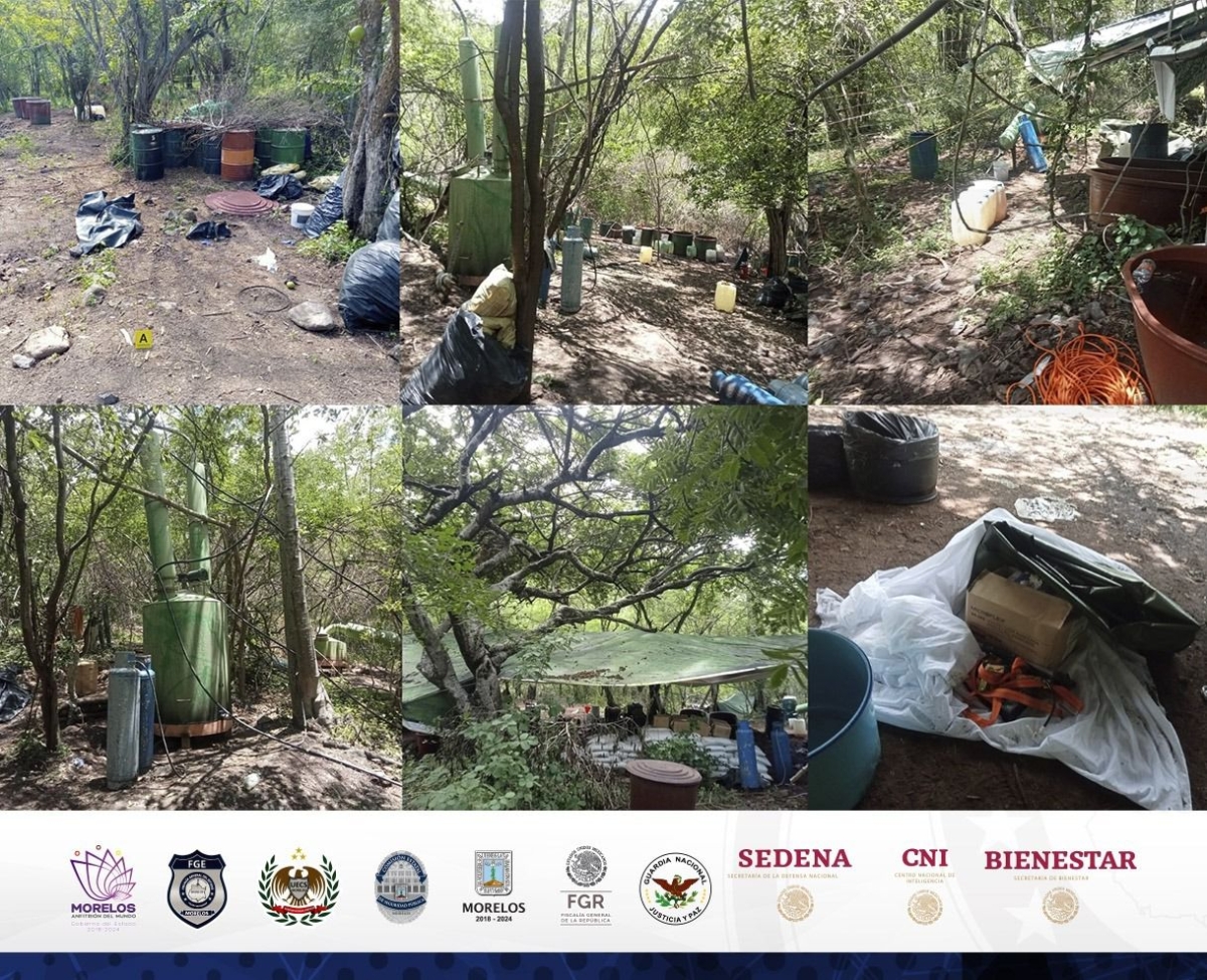 Autoridades estatales y federales desmantelan 'narcolaboratorio' enclavado en la sierra de Huautla