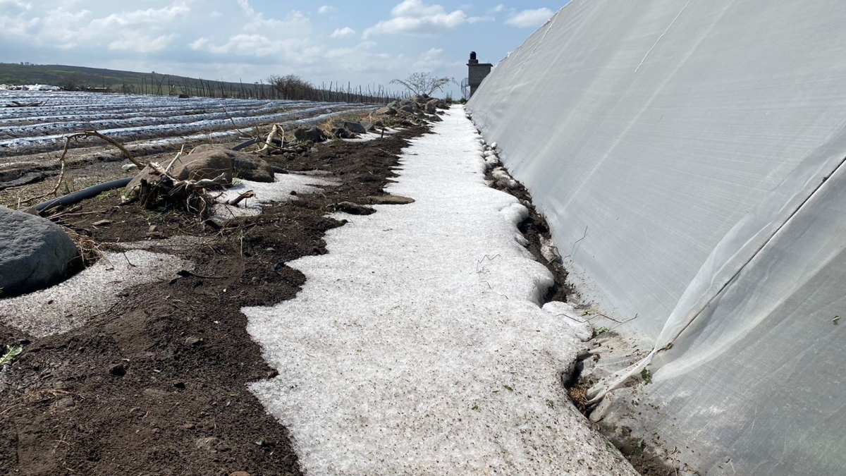 Severos daños causan lluvia y granizo en campo de Yecapixtla