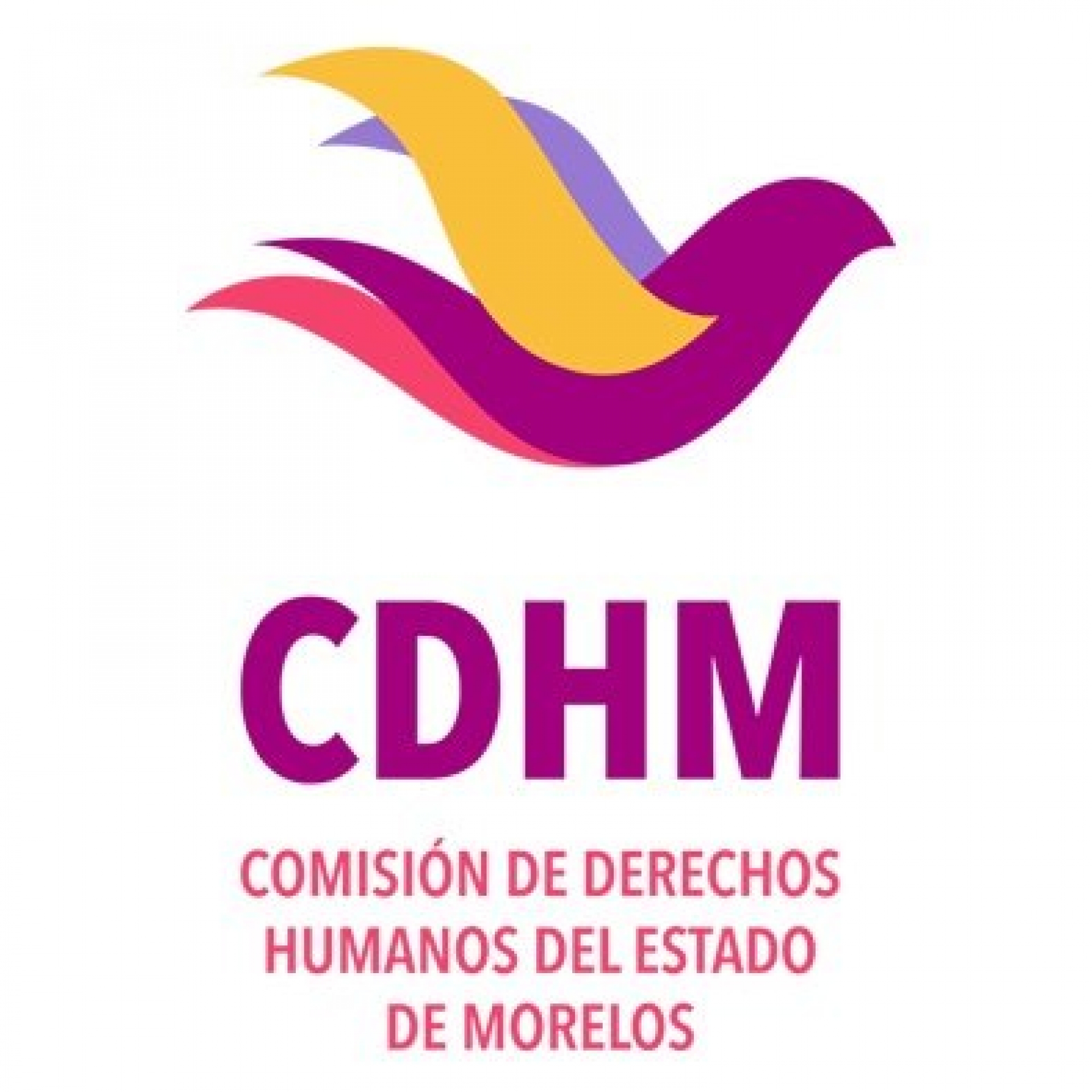 Informa CDHM sobre visita de personal de Asuntos Penitenciarios al Cereso Morelos