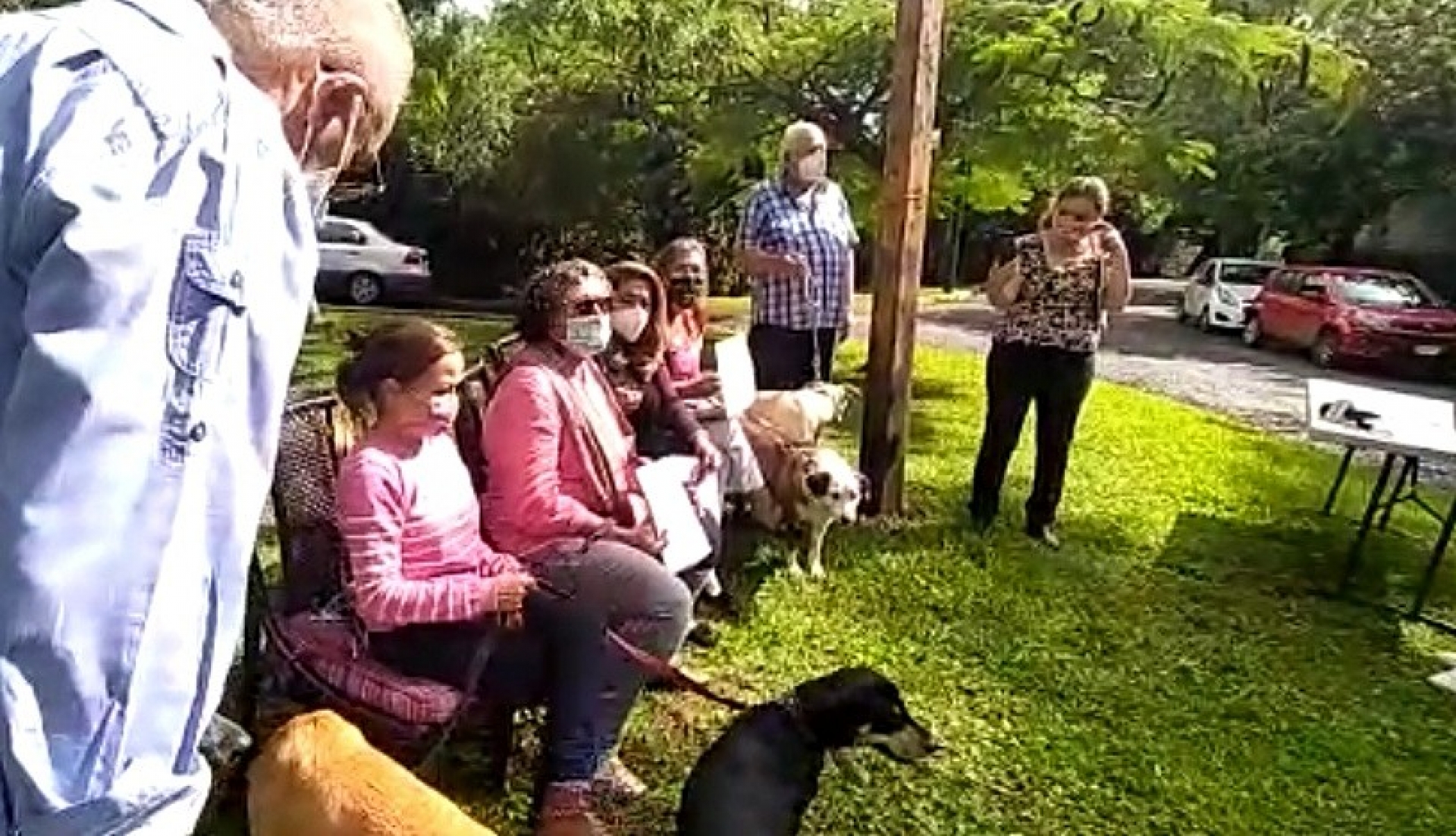 Llaman rescatistas a adoptar a perros localizados en un terreno en Rancho Cortés