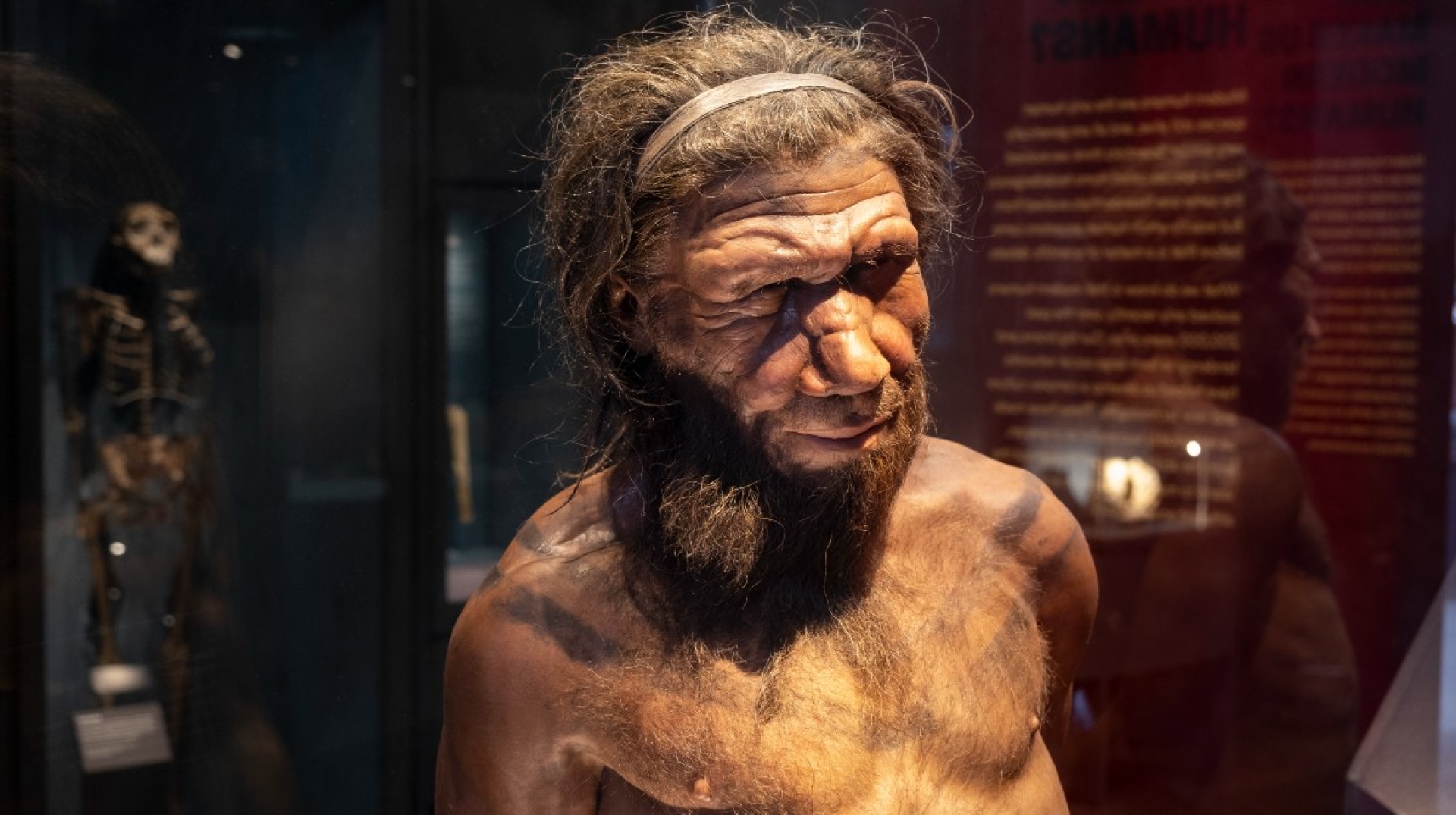 Genética neandertal: ¿Por qué algunas personas son madrugadoras?