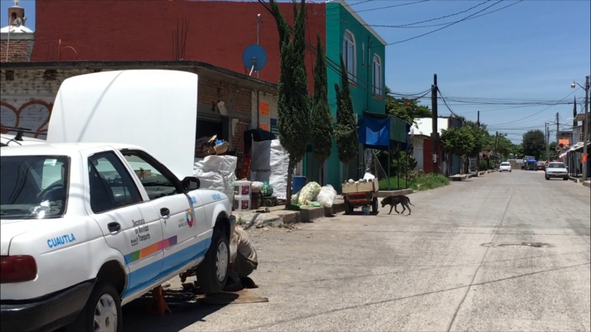 Establecen cerco sanitario por sospecha de ricketsiosis en la colonia Iztaccíhuatl de Cuautla