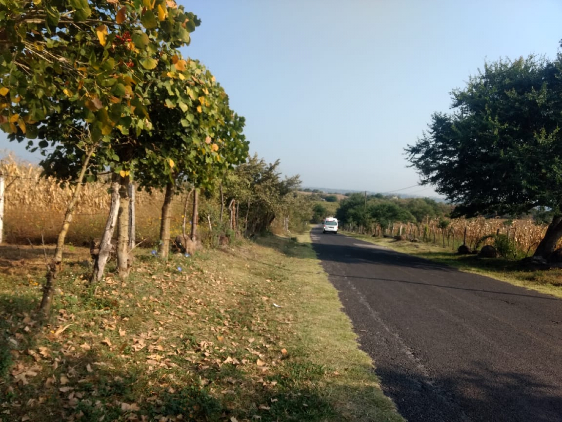Hallan cadáver decapitado y sin orejas en la carretera Cuentepec-Xochicalco