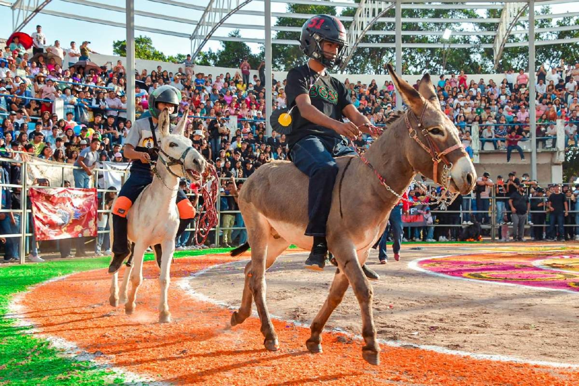 Vive Yecapixtla tradicional Carrera de Burros en la Feria de la Cecina