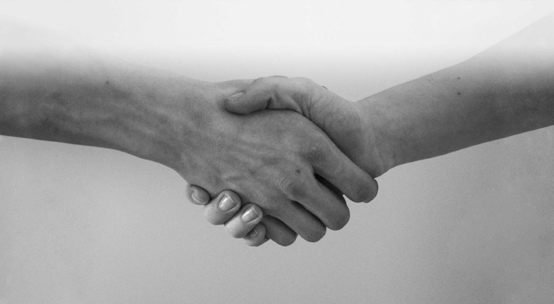 Amistad y cultura de la paz