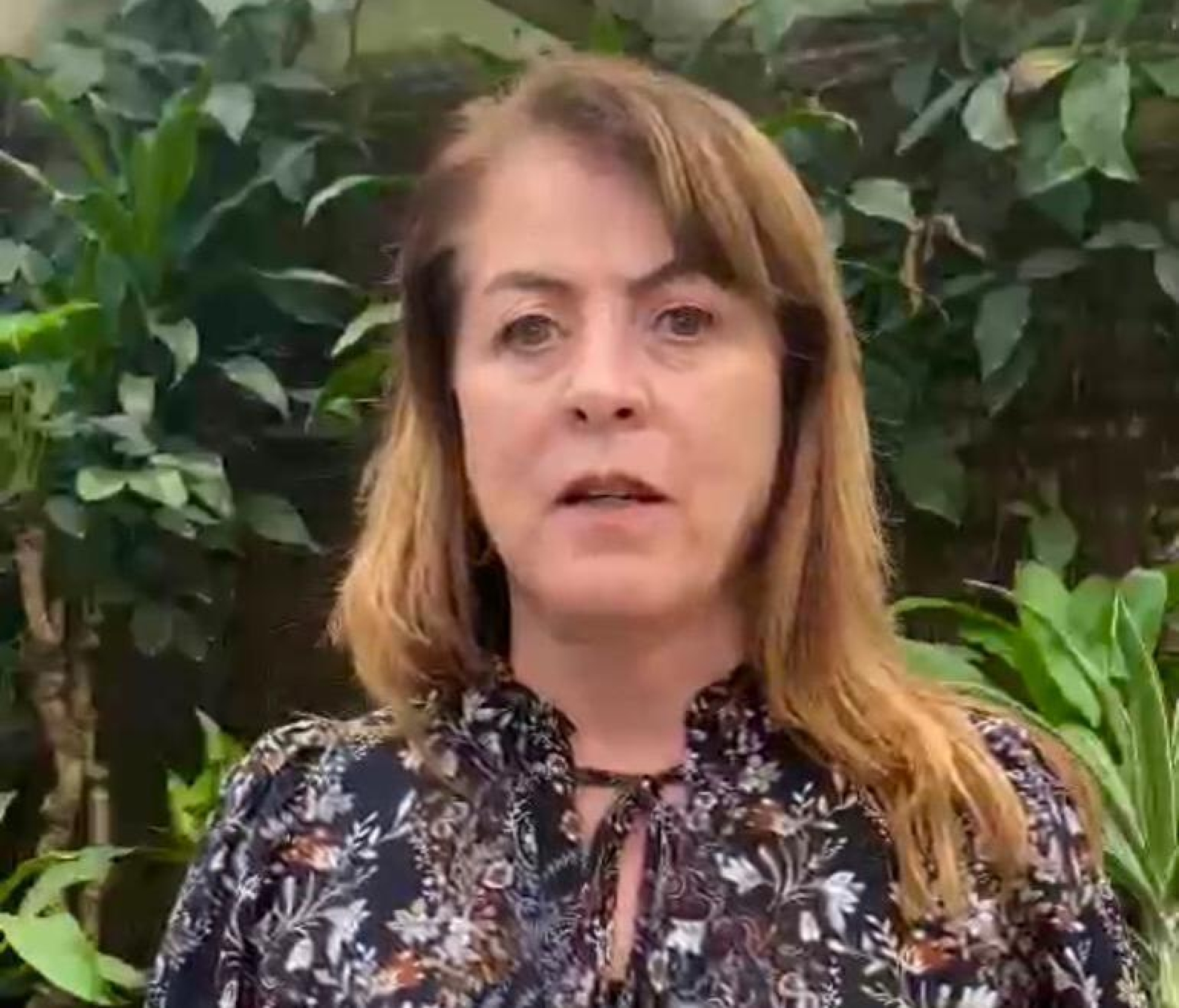 'Cuernavaca y Morelos necesitan vivir en paz': Margarita González Saravia