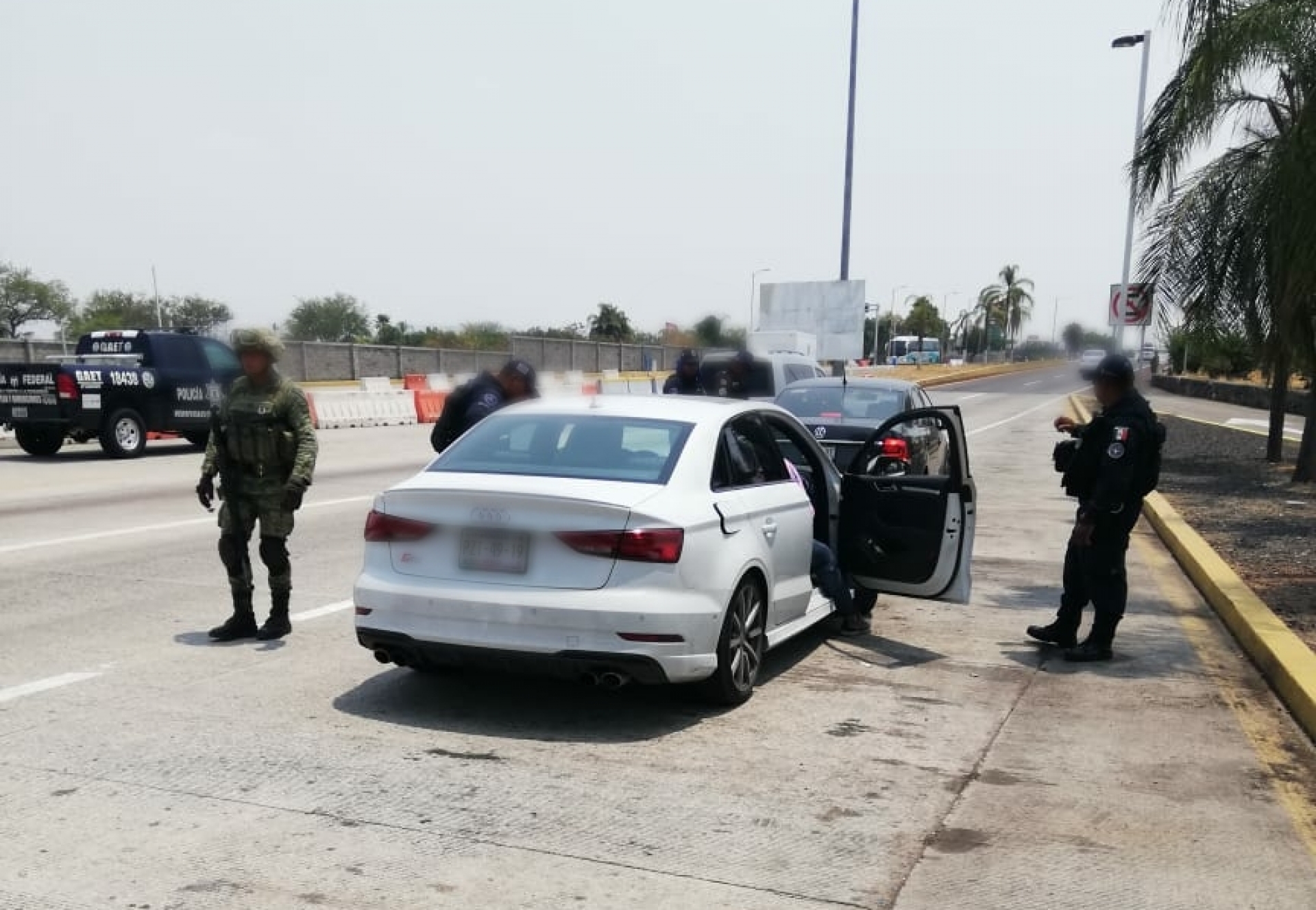 Aseguran en operativo 'Sellamiento Morelos' a dos personas con vegetal verde
