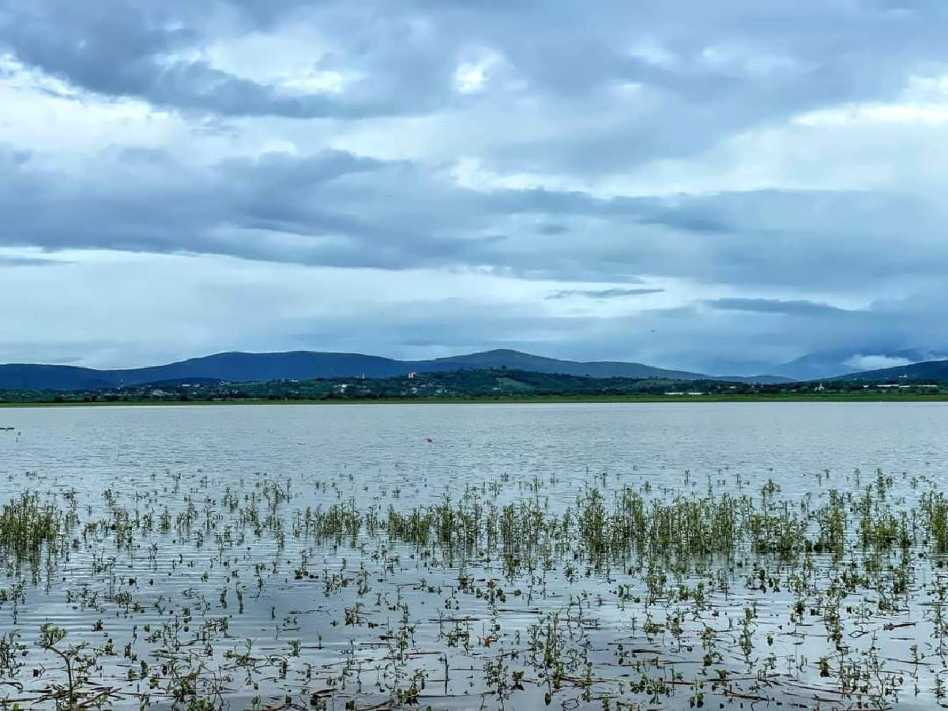 Sube el nivel de las lagunas de Coatetelco y El Rodeo