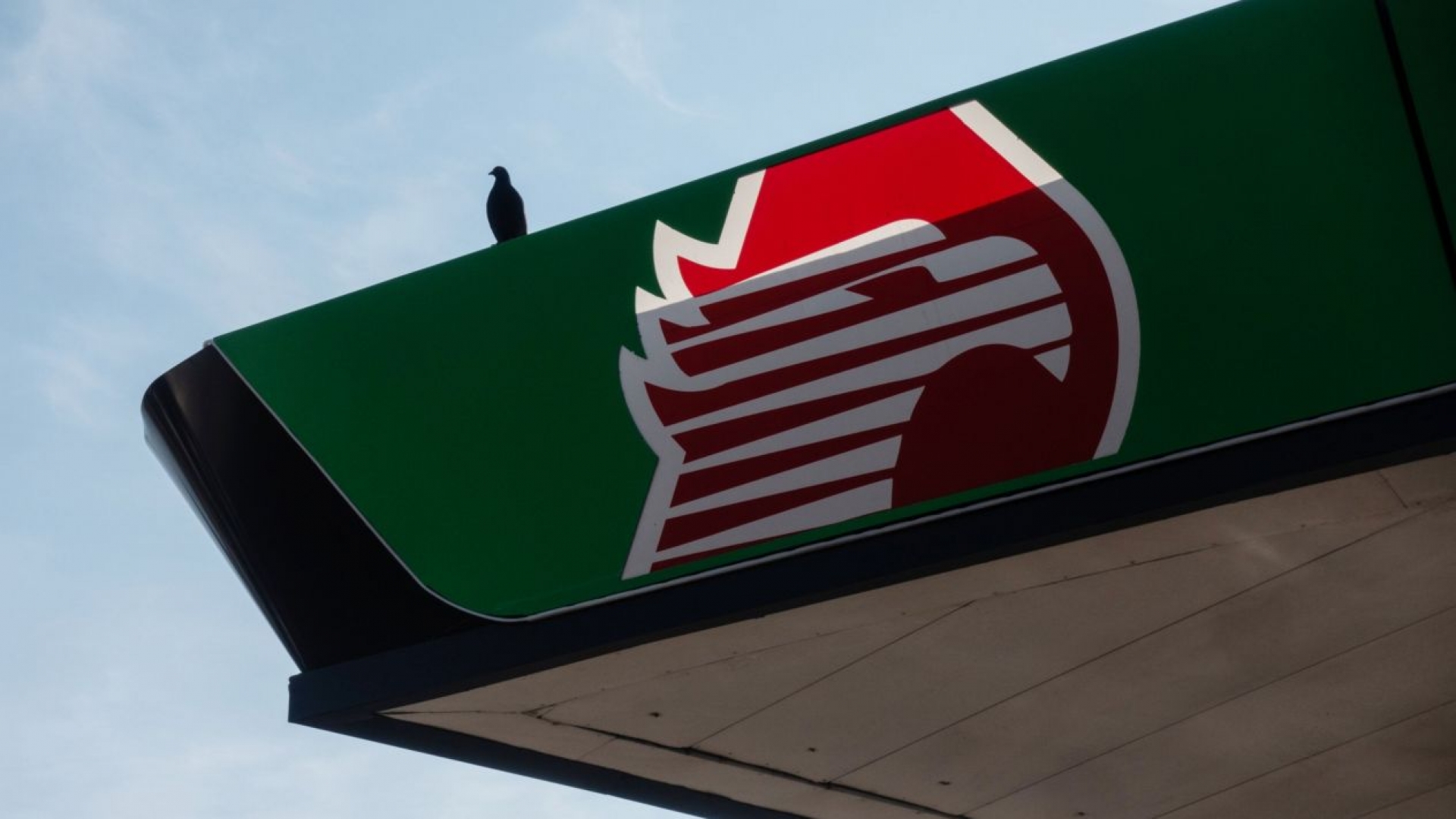 Pemex quiere entrarle al negocio y llevártelo a tu casa o comercio