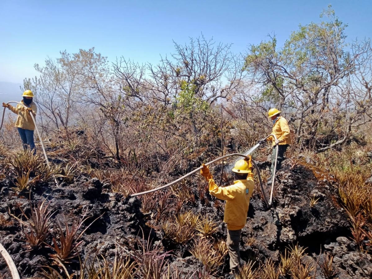 Liquidan incendio forestal en el paraje 'La Pera' de Tepoztlán
