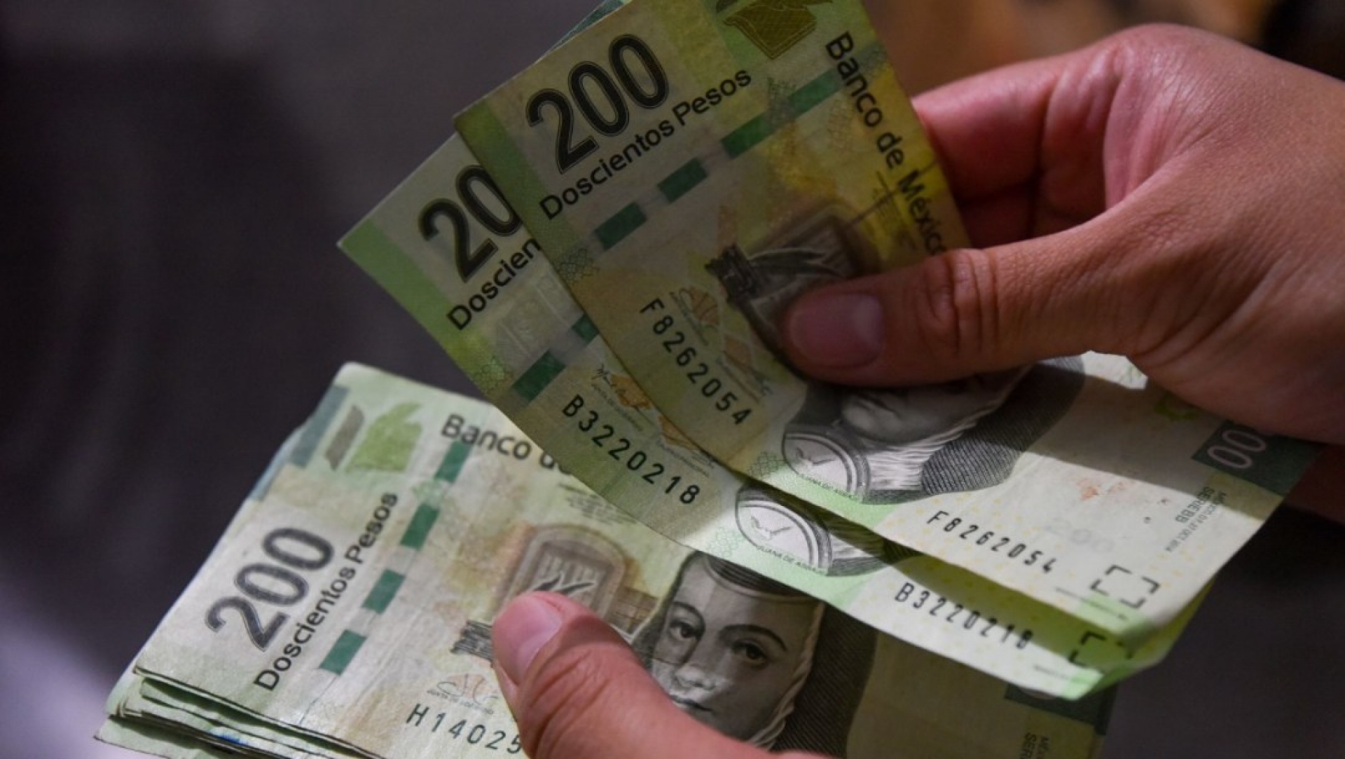¿Qué billetes mexicanos saldrán de circulación?