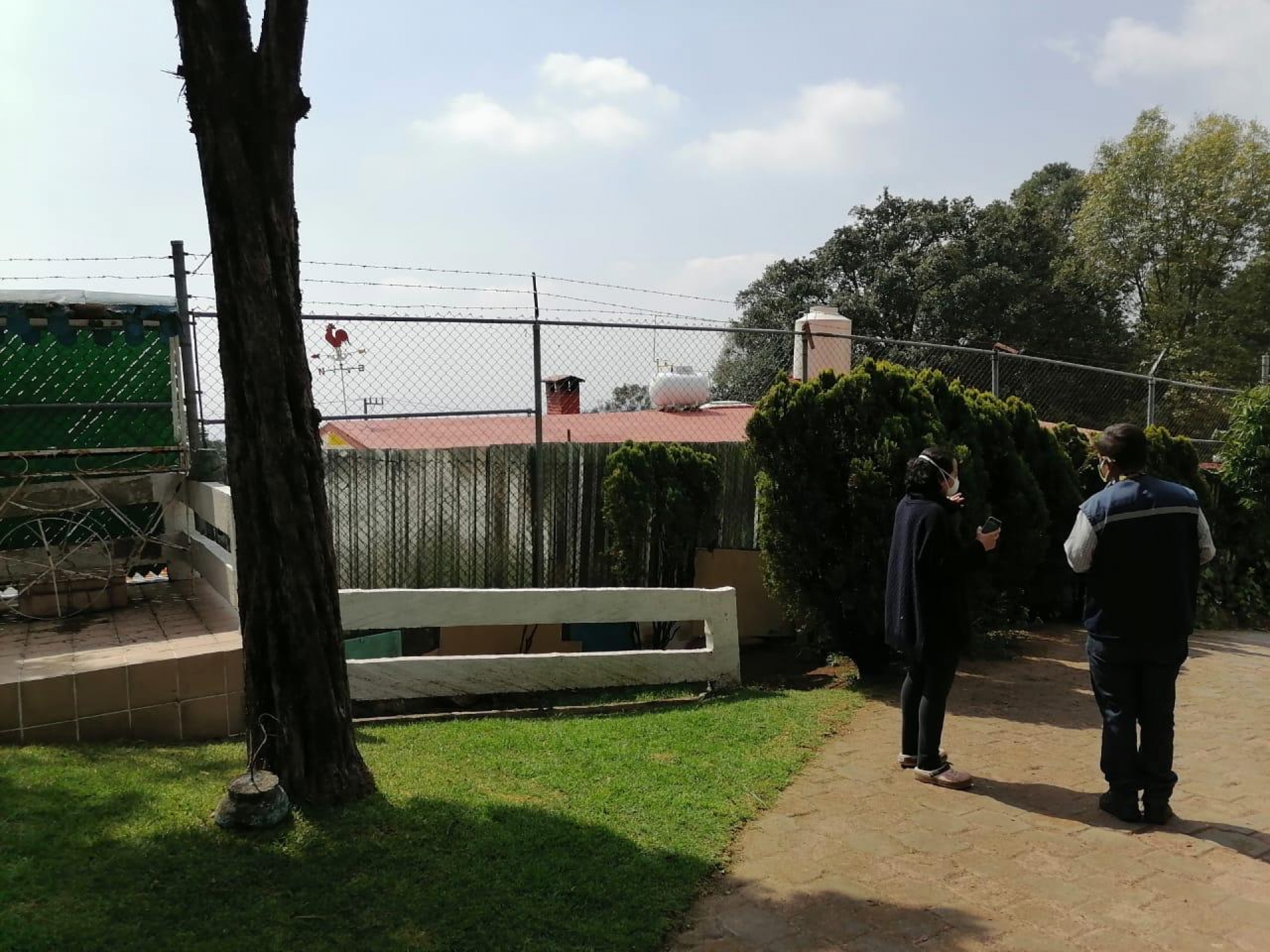 Presenta Propaem denuncia penal en el caso de la canina 'Ela'