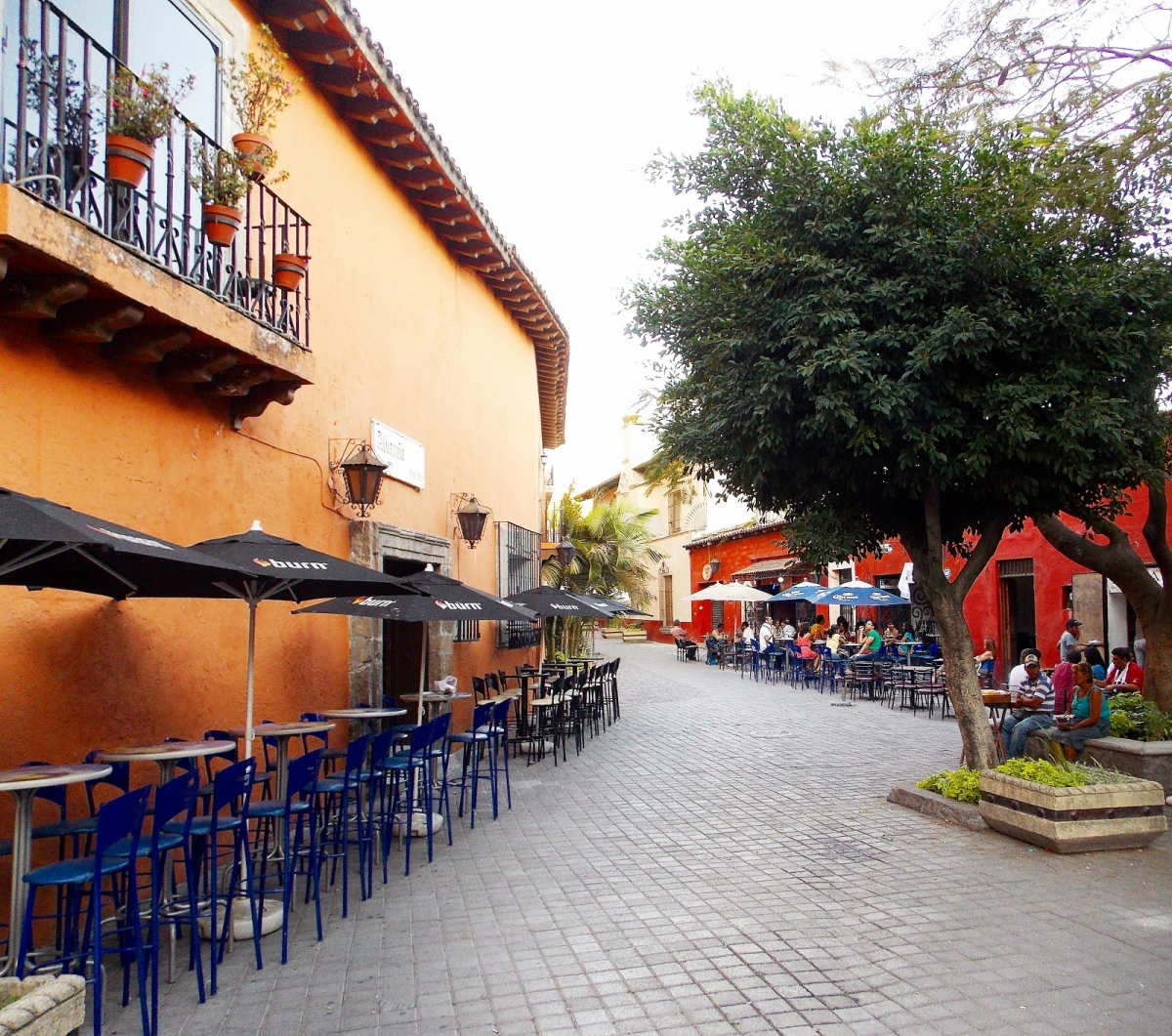 Bares y discos endurecerán Medidas de seguridad