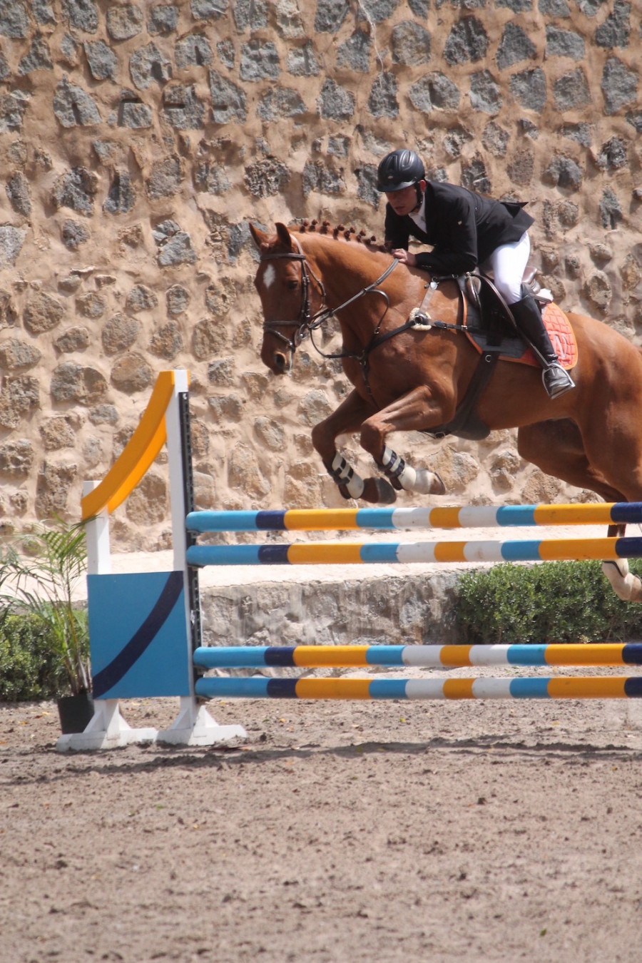 Elevan Competencia