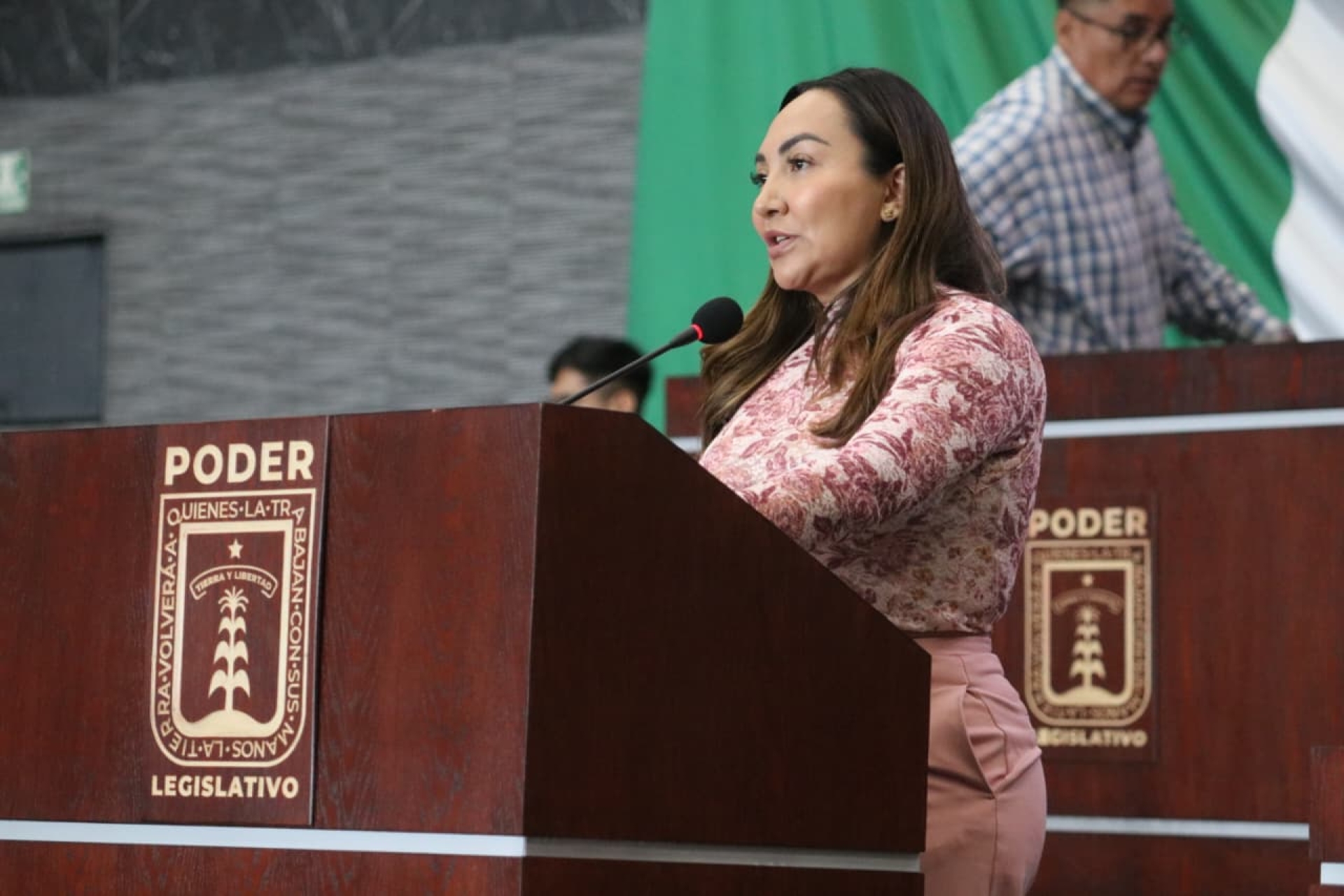 Presenta diputada Luz Dary Quevedo seis iniciativas en pro de la seguridad y el desarrollo de mujeres y jóvenes