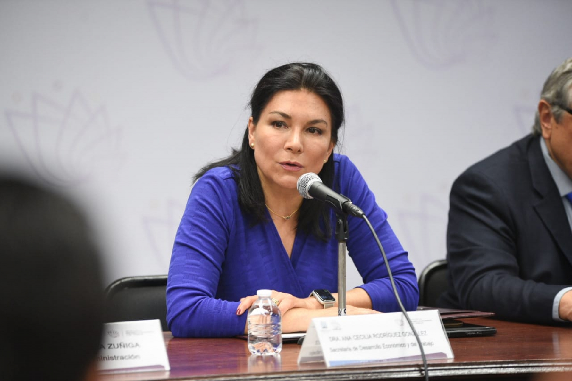 Refiere SDEyT que el 60% de los empleos en Morelos son informales